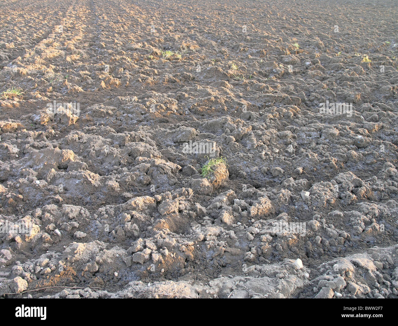 Harter winter europa -Fotos und -Bildmaterial in hoher Auflösung – Alamy