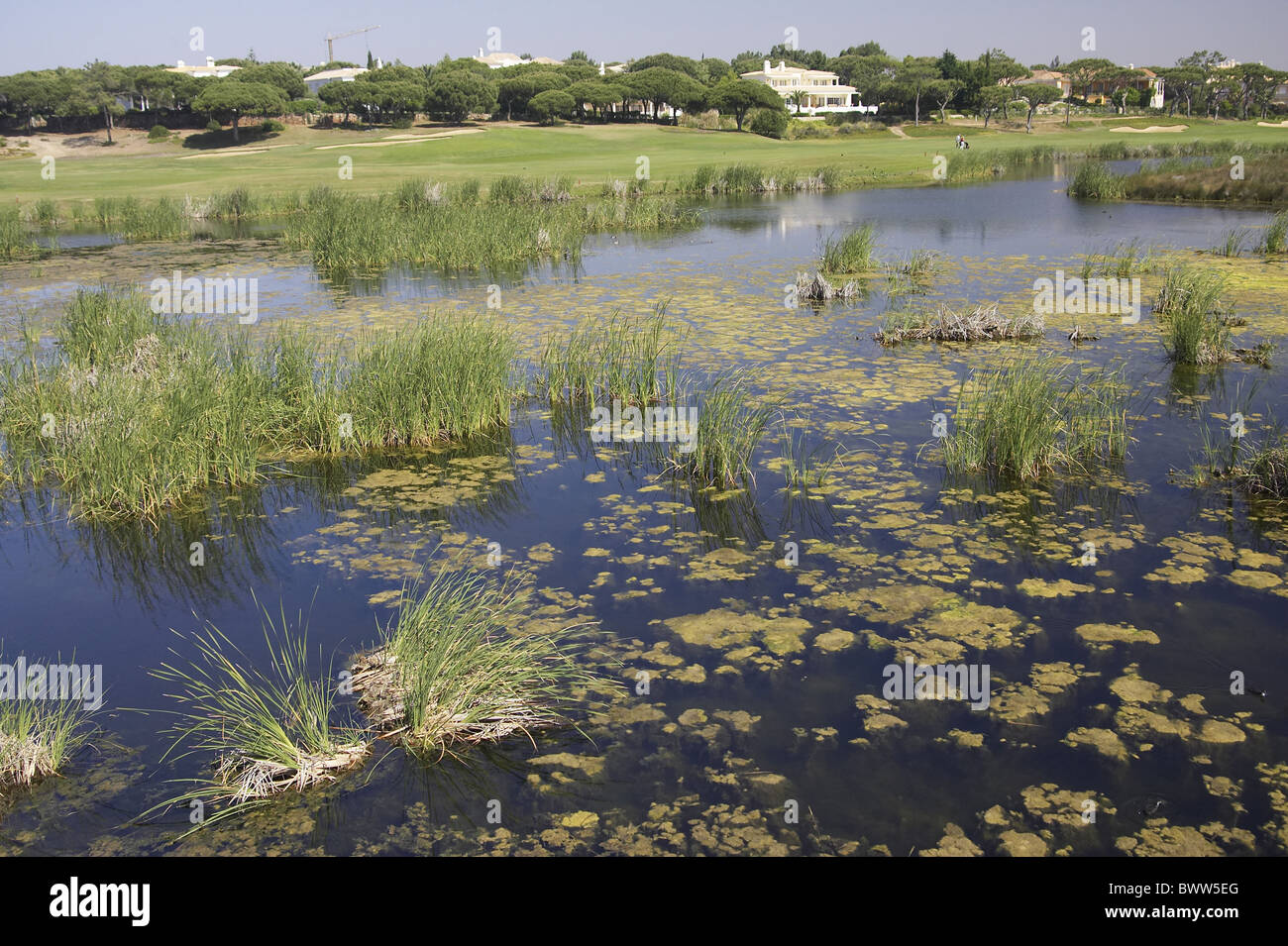 Ria Formosa großen Teich Golfplatz Algarve Portugal Teich Lebensraum Europa Europäische Portugal Portugiesisch Land malerische Landschaften Stockfoto