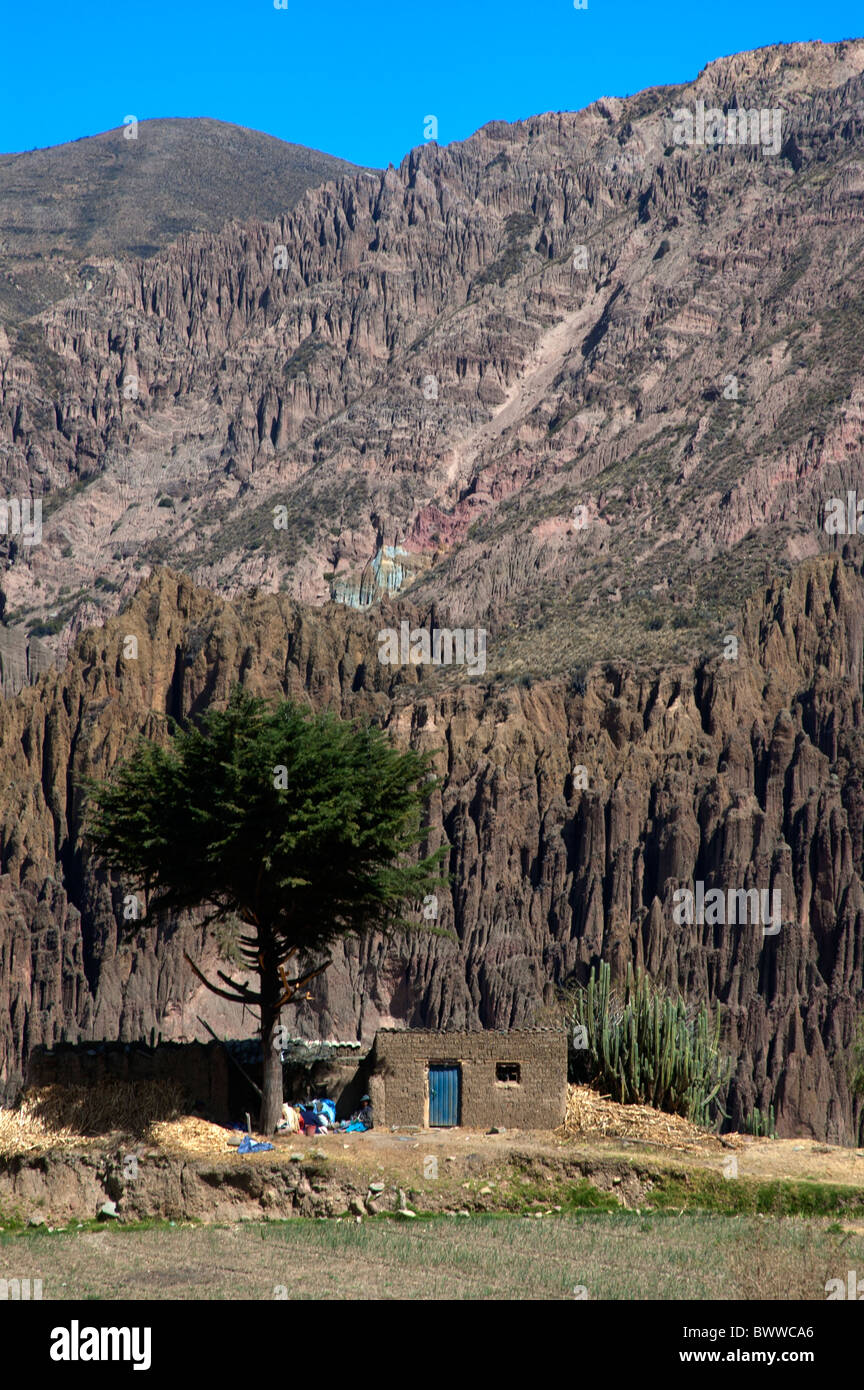 Ein einsames Haus unter den hohen Felswänden Palca Canyon, La Paz, Bolivien. Stockfoto