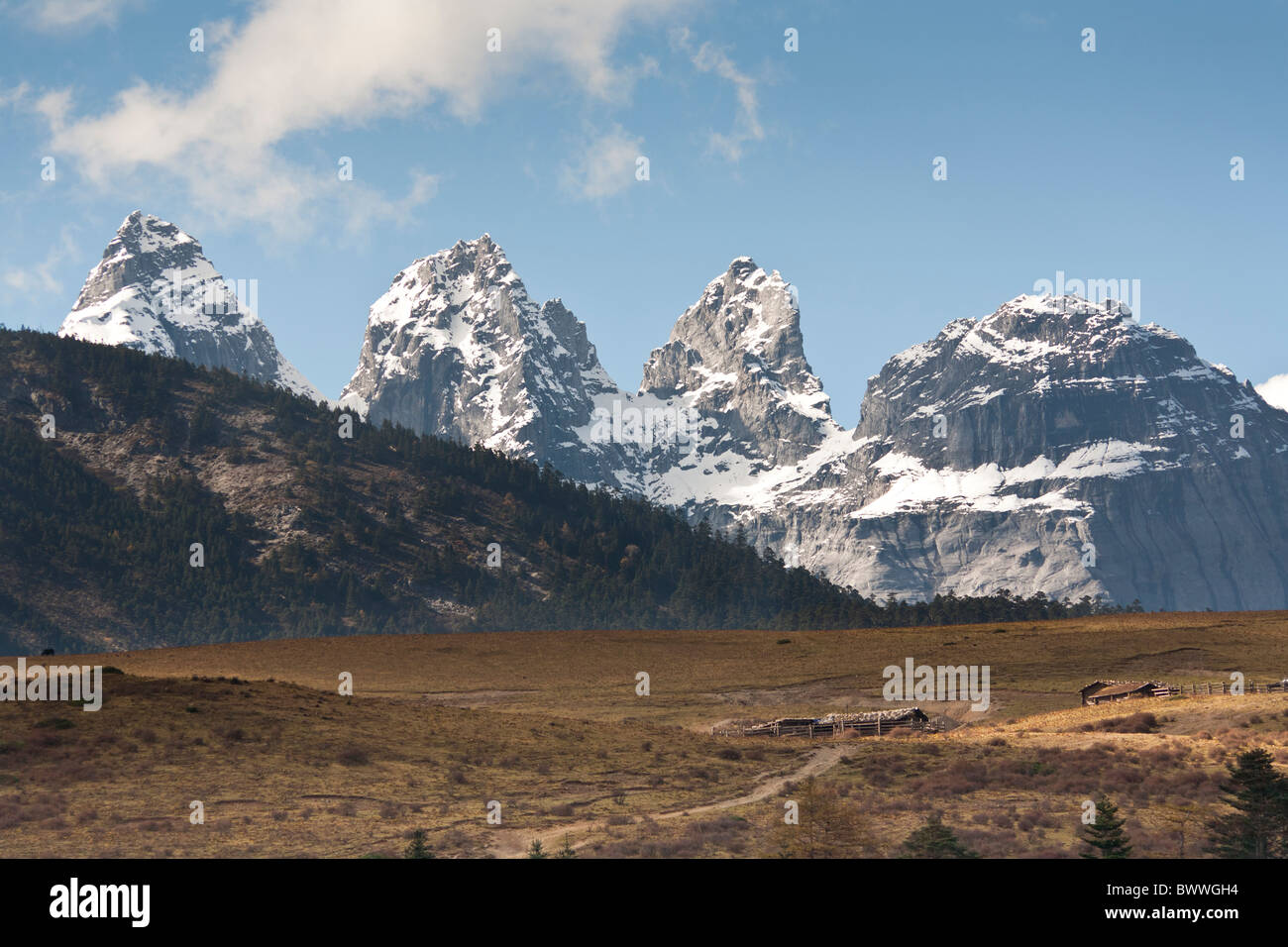 Yulong Xue Shan Berg, auch bekannt als Jade Dragon Snow Mountain, vom Yak Wiese Sicht, Lijiang, Provinz Yunnan, China Stockfoto