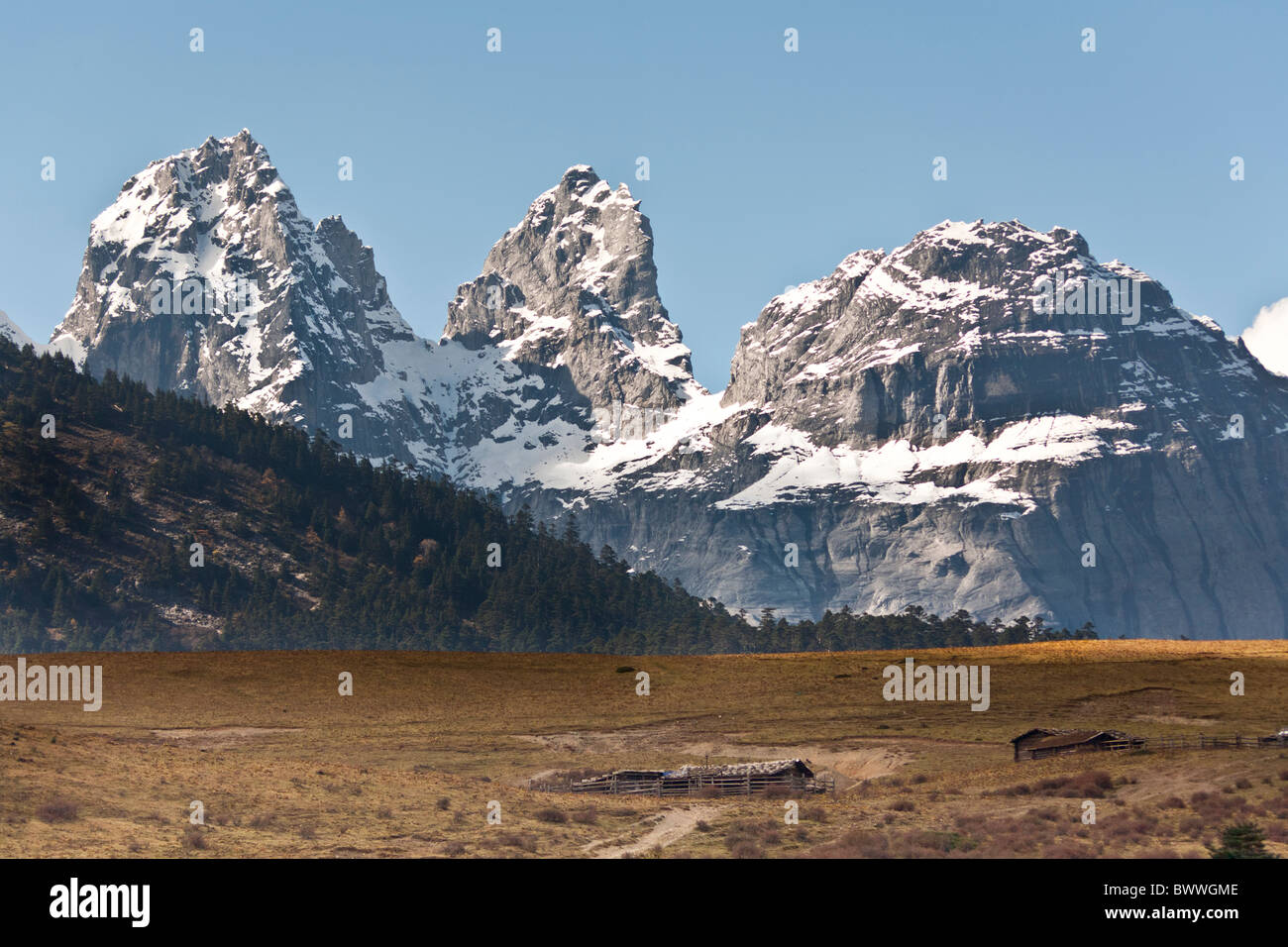 Yulong Xue Shan Berg, auch bekannt als Jade Dragon Snow Mountain, vom Yak Wiese Sicht, Lijiang, Provinz Yunnan, China Stockfoto