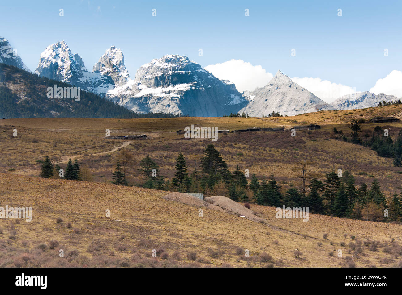 Yulong Xue Shan Berg, auch bekannt als Jade Dragon Snow Mountain, vom Yak Wiese Sicht, Lijiang, Provinz Yunnan, China Stockfoto