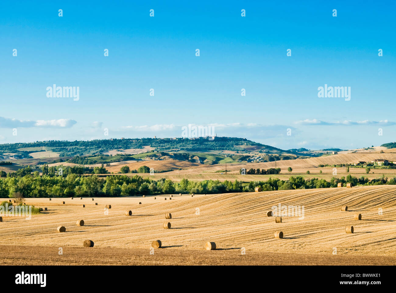 Landschaft in der Nähe von San Qurico d ' Orcia, Siena, Toskana, Italien Stockfoto