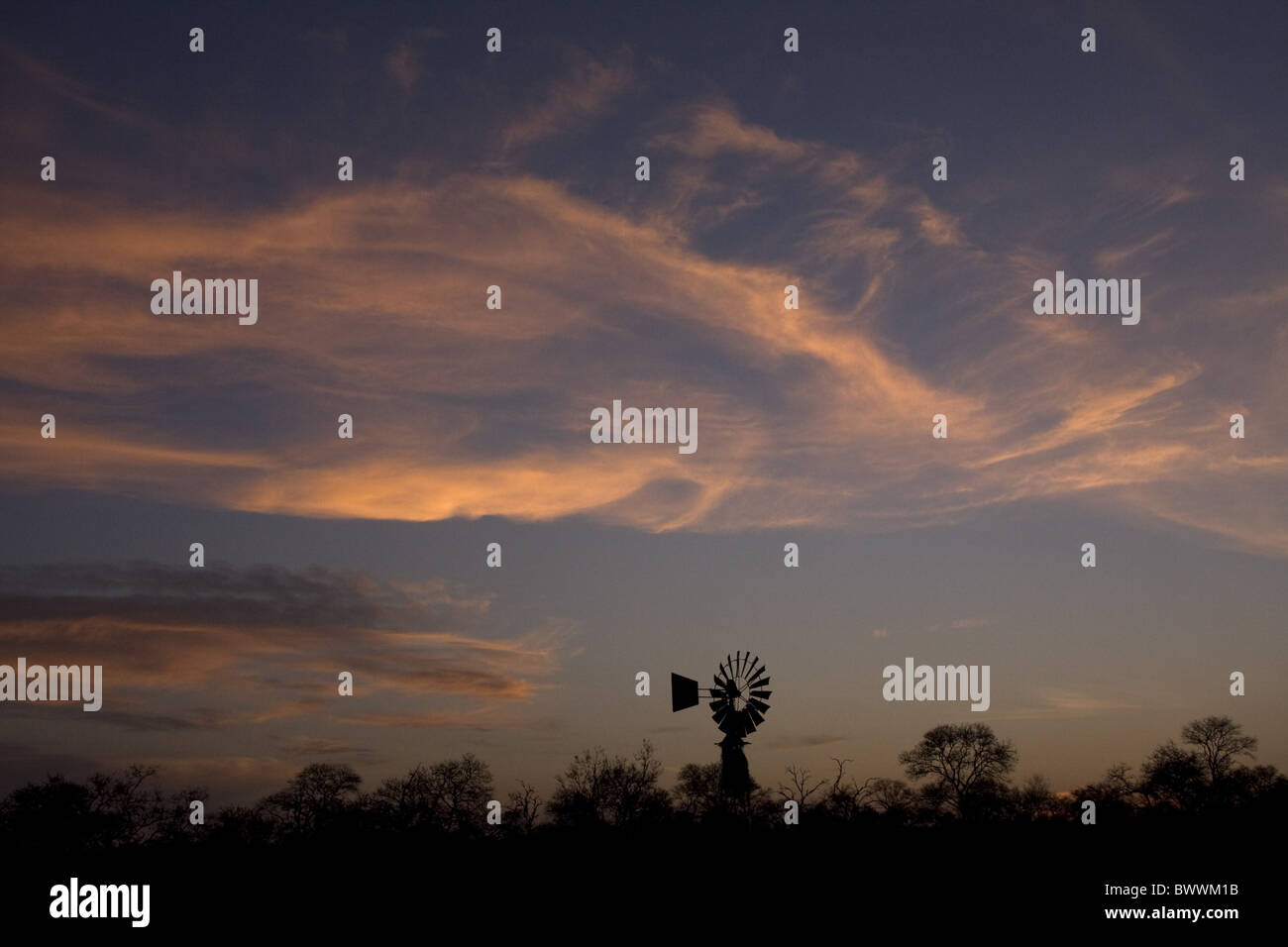 Wind-Pumpe in der afrikanischen Landschaft, Cirrus cloud Stockfoto