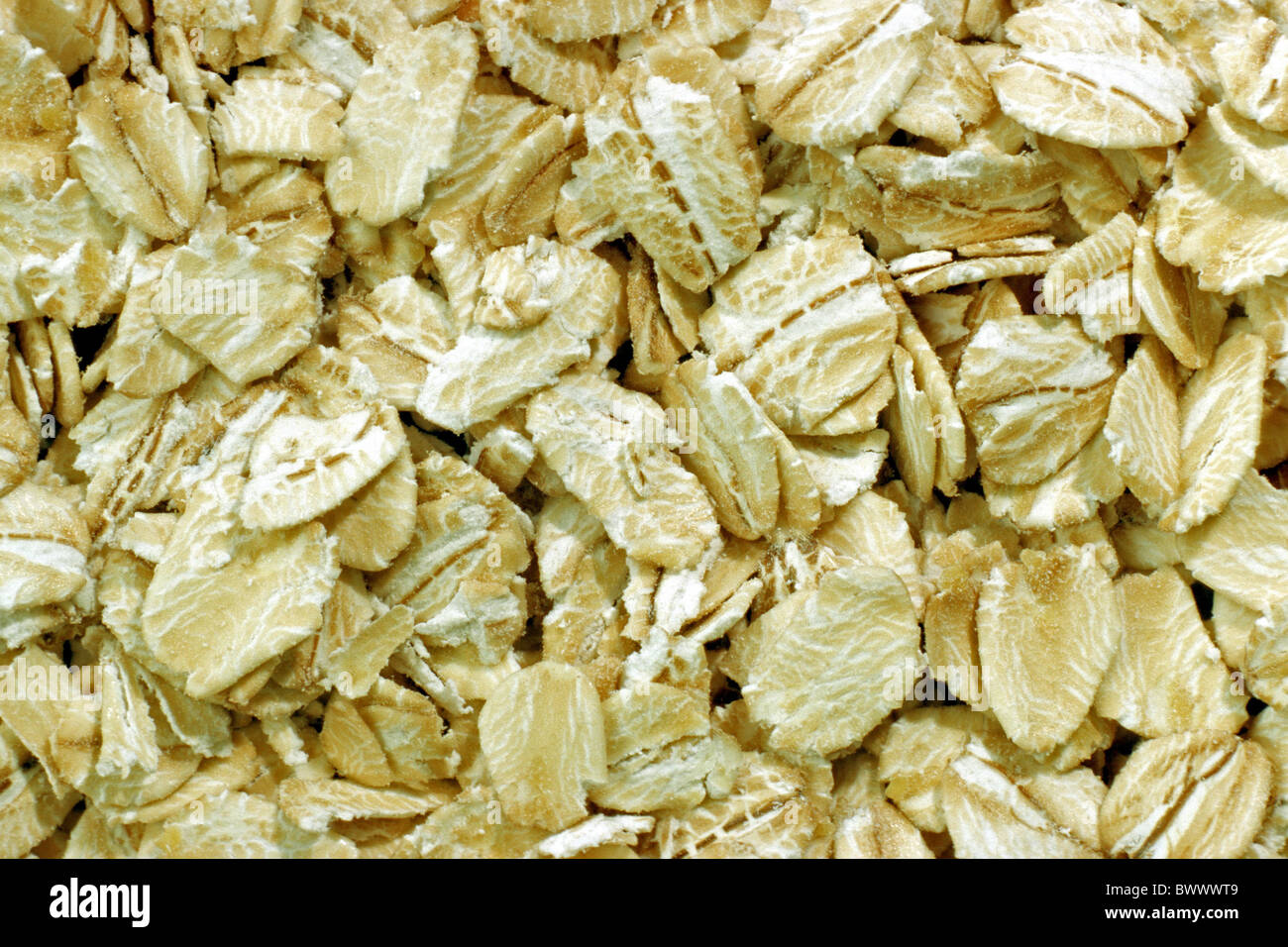 Hafer (Avena Sativa), Haferflocken, hautnah. Stockfoto