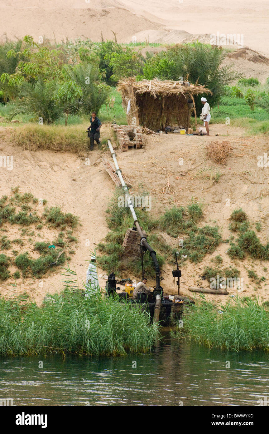 Ägypten-Wasser Pumpen Bewässerung Nil Fluss Bauernhof Betriebe, die landwirtschaftliche Bewässerung zu bewässern bewässert bewässernde Wasser Wasser gießen Stockfoto