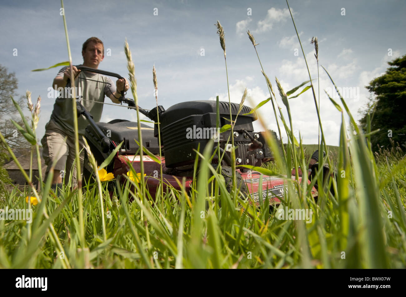 Rotary lawn mower Fotos und Bildmaterial in hoher Auflösung Alamy