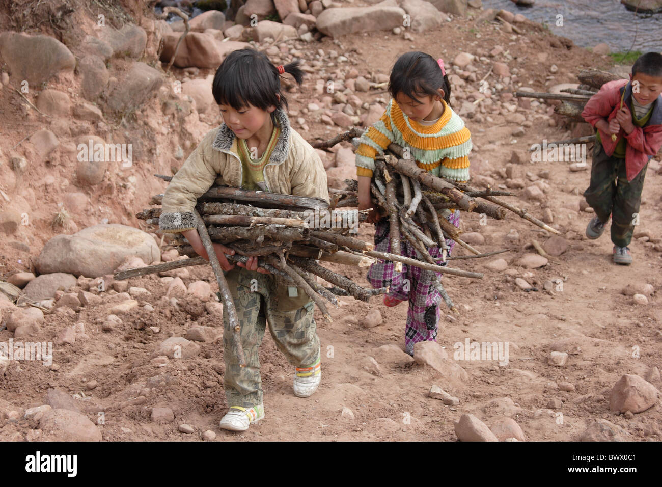 Schülerinnen und Schüler sammeln Brennholz Yunnan Stockfoto