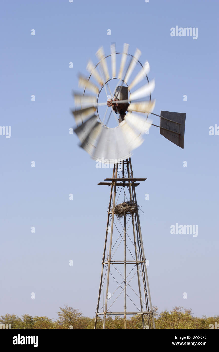 Wind Pumpe künstliches Wasserloch Kruger N.P. Stockfoto