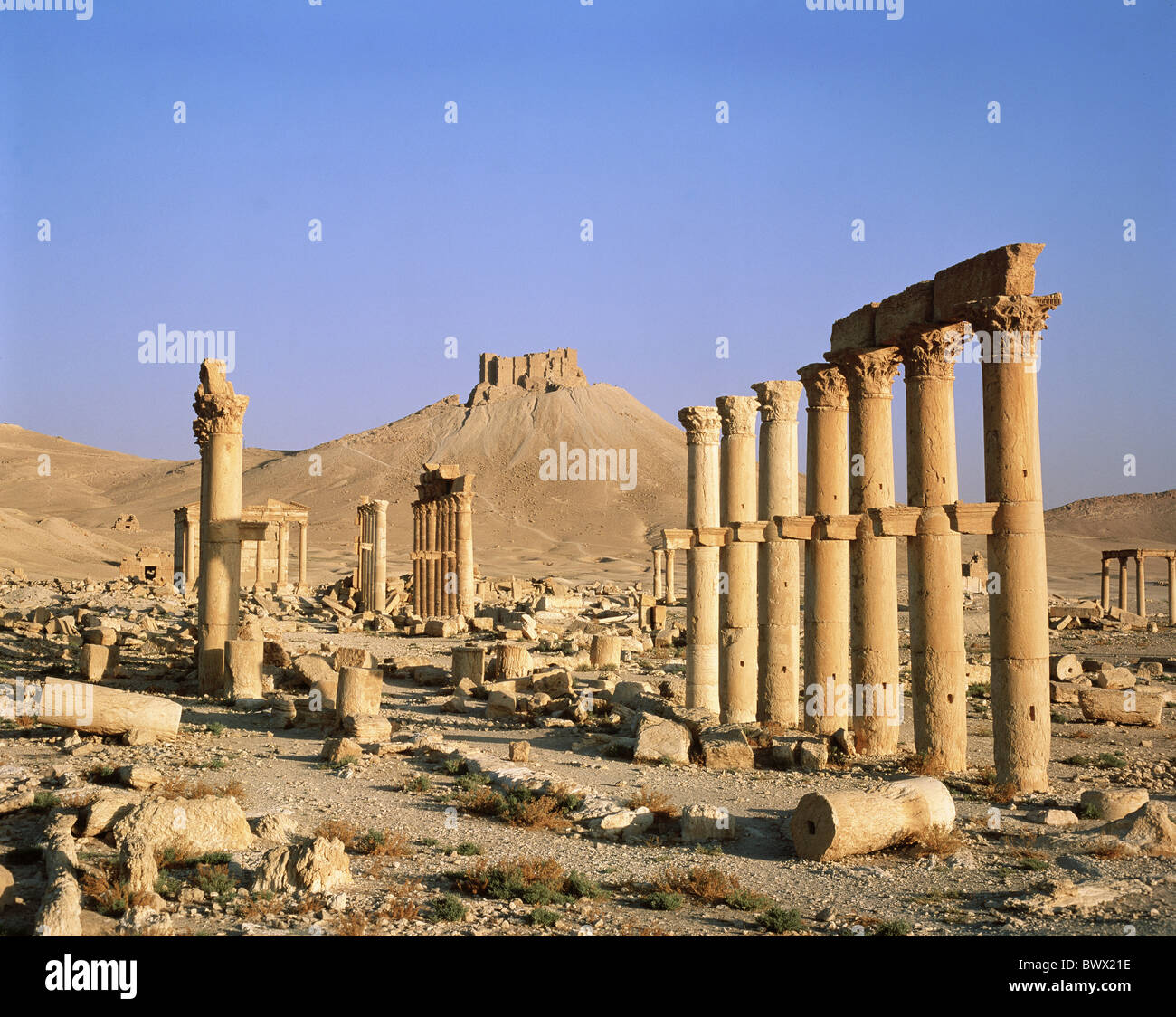 Arabische Festung Hügel Kolonnaden Palmyra Ruinen Syrien antike Welt antike Stockfoto