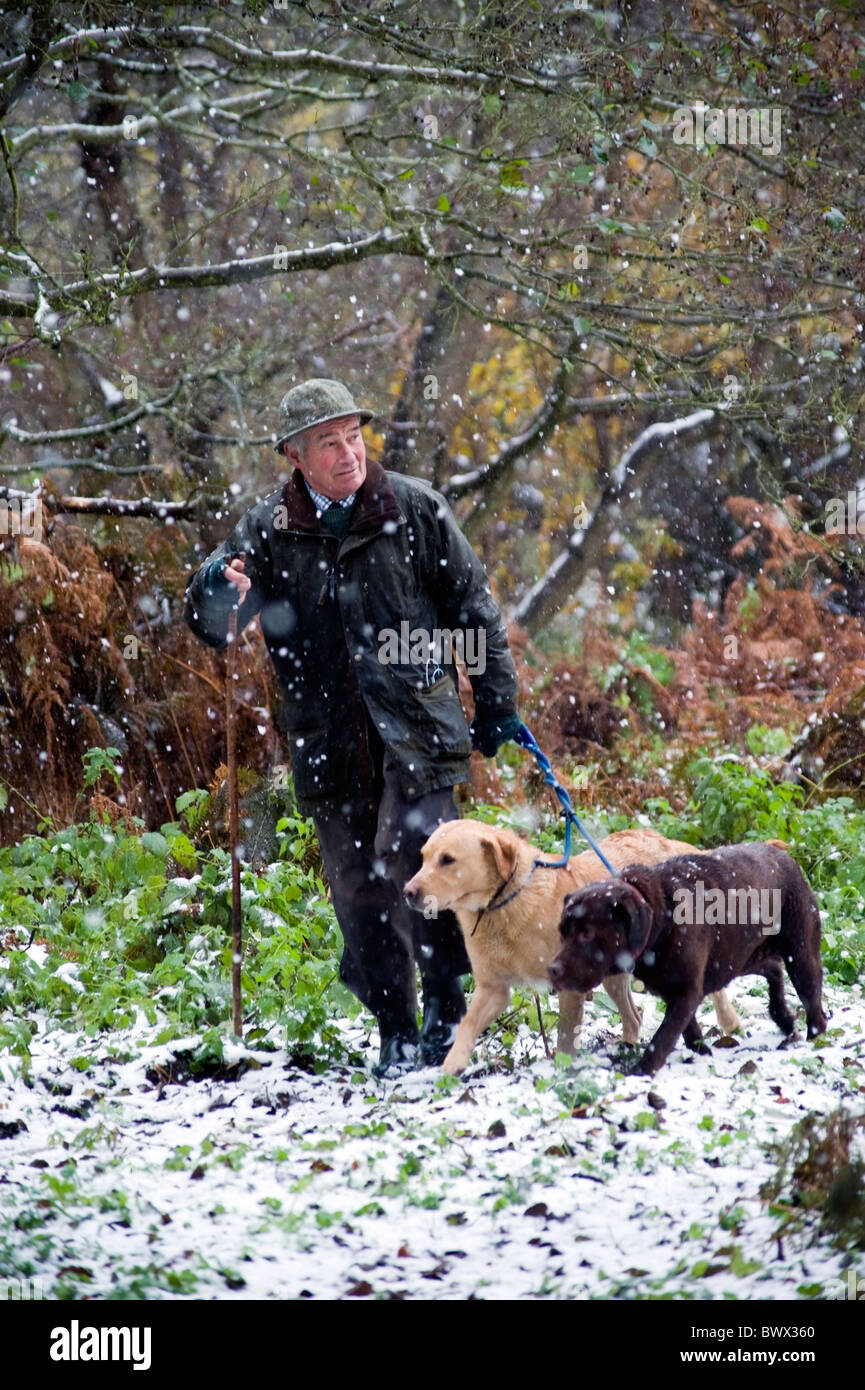 Schläger zu Fuß im Schnee auf angetriebenen Shooting mit Hunden Stockfoto