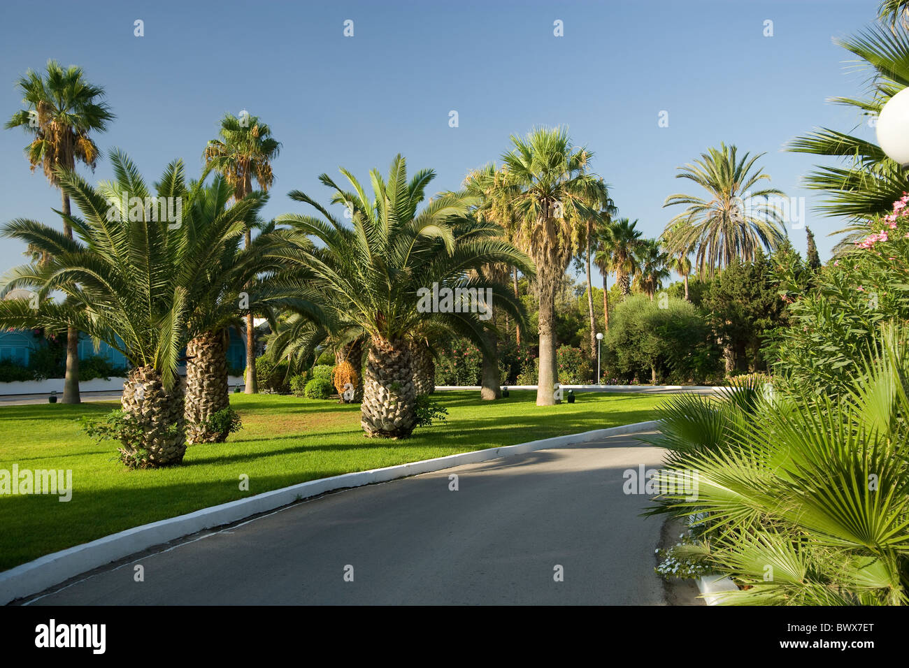 Palmen im Club Mediterranee Resort in Nabeul Tunesien Stockfoto