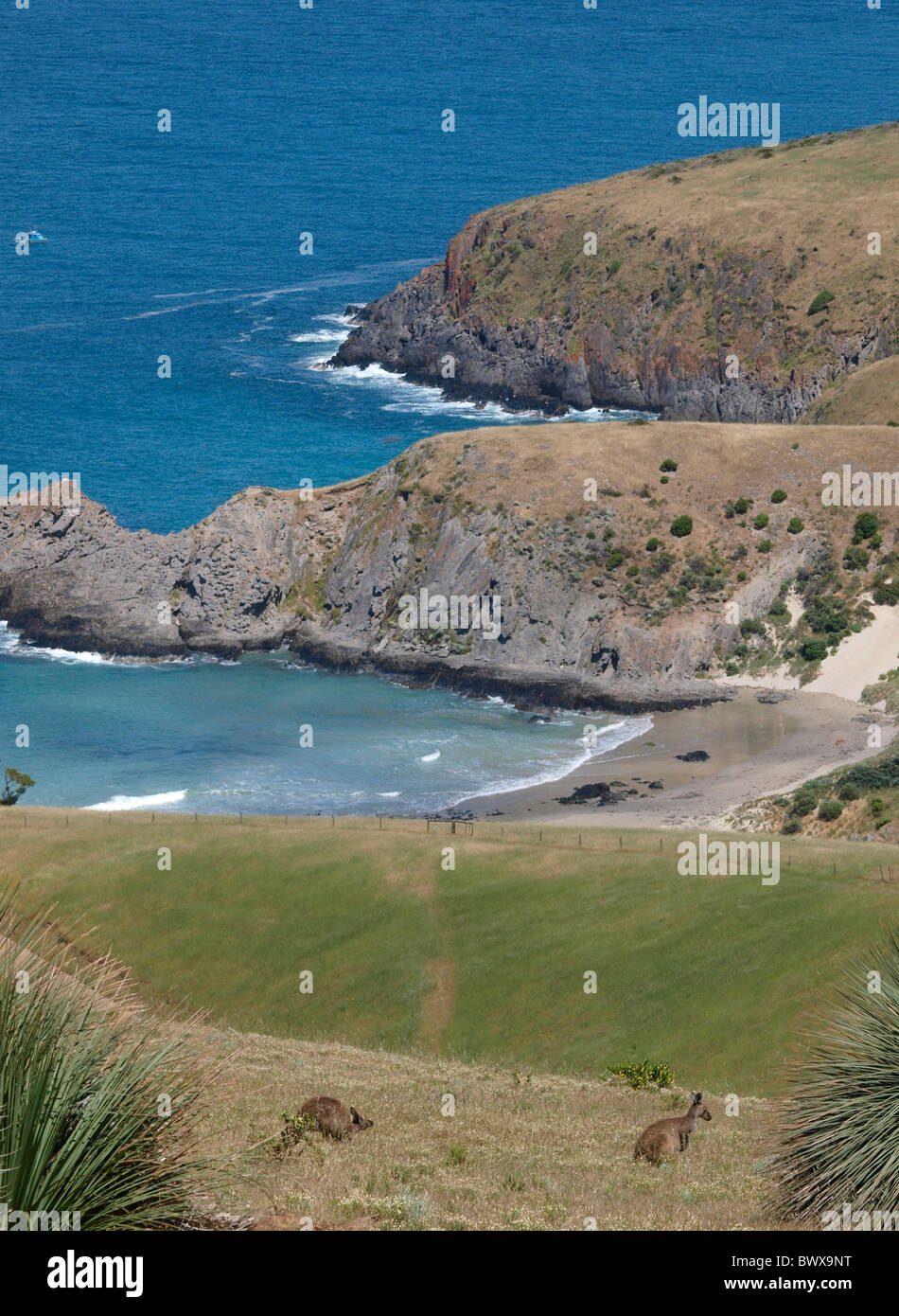 BLICK AUF DIE KÜSTE VON DER DEEP CREEK CONSERVATION PARK FLEURIEU PENINSULA, BACKSTAIRS PASSAGE, SÜDAUSTRALIEN Stockfoto