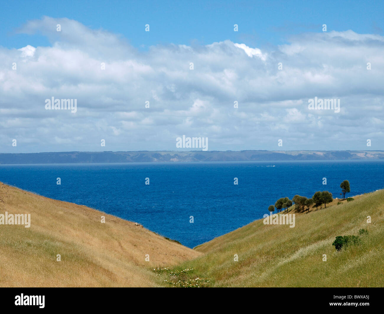 BLICK VON DER DEEP CREEK CONSERVATION PARK FLEURIEU HALBINSEL IN RICHTUNG KANGAROO ISLAND AUF DIE KÜSTE.  BACKSTAIRS PASSAGE, SÜDAUSTRALIEN Stockfoto