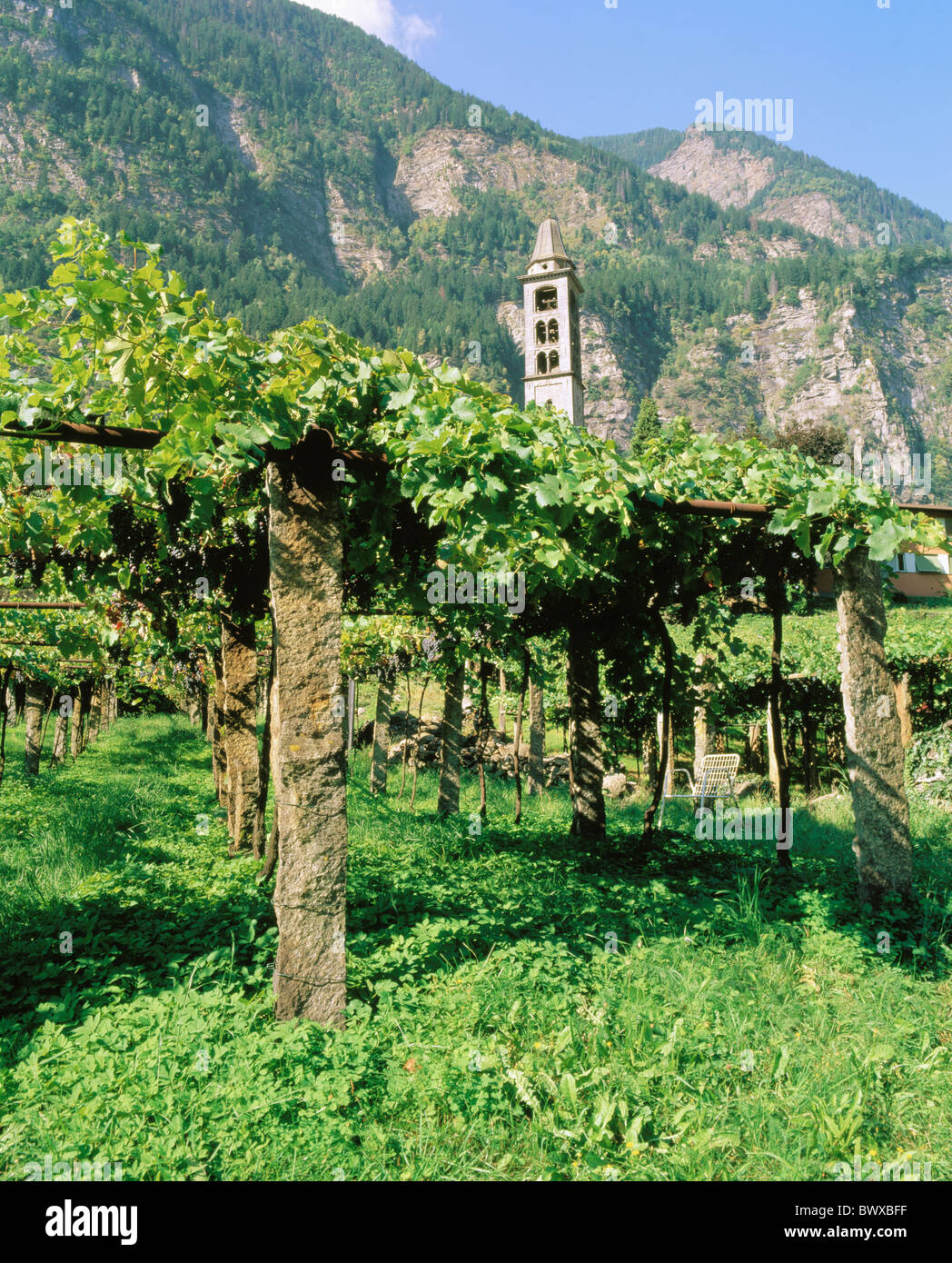 Berge Garten Giornico Kirche San Michele Pergola schießt der Schweiz