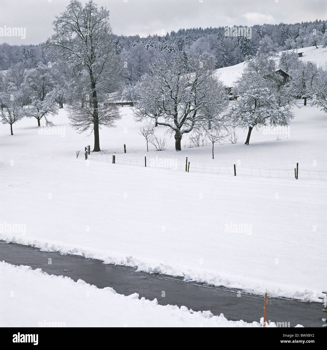 Bild-Serie "3" Jahreszeiten Straße Straße Obstbäume Schnee Wiese Winter Schweiz Stockfoto