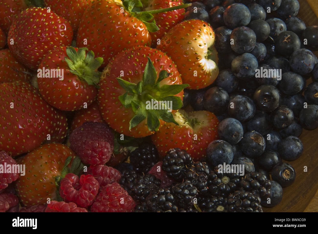 Softfruit Nahaufnahme saftig frische Dessert Prunus Spinosa Prunus Spinosa Gin macht Obst Früchte Beeren Fragaria reife Beeren Stockfoto