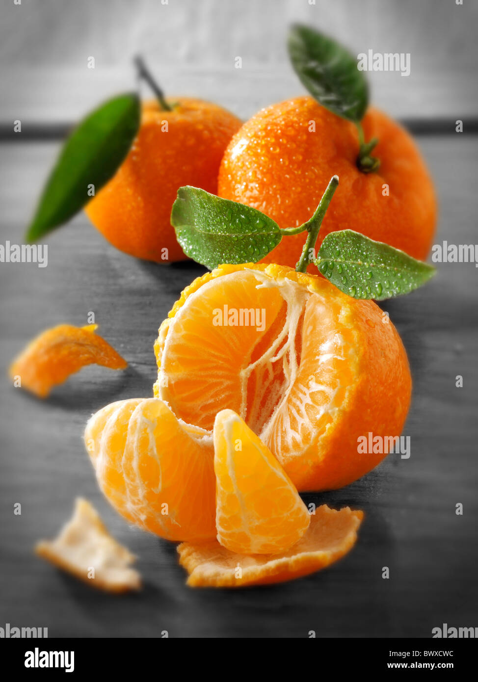 Frische Mandarinen Früchte mit Blättern. Stockfoto
