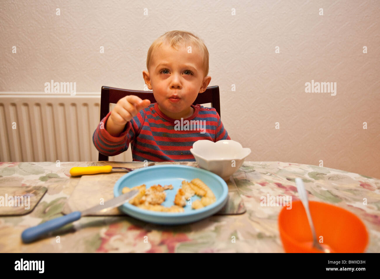 Junge (18 Monate alte) Essen auf den Tisch, Sheffield, England, Vereinigtes Königreich. Stockfoto