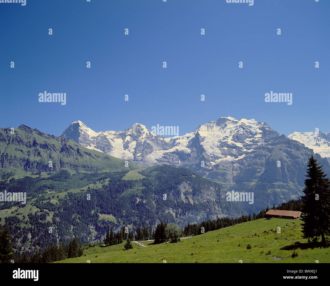 Schweiz Europa Kanton Bern Eiger Berg Mönch Monch Jungfrau Wengernalp Berner Oberland Stockfoto