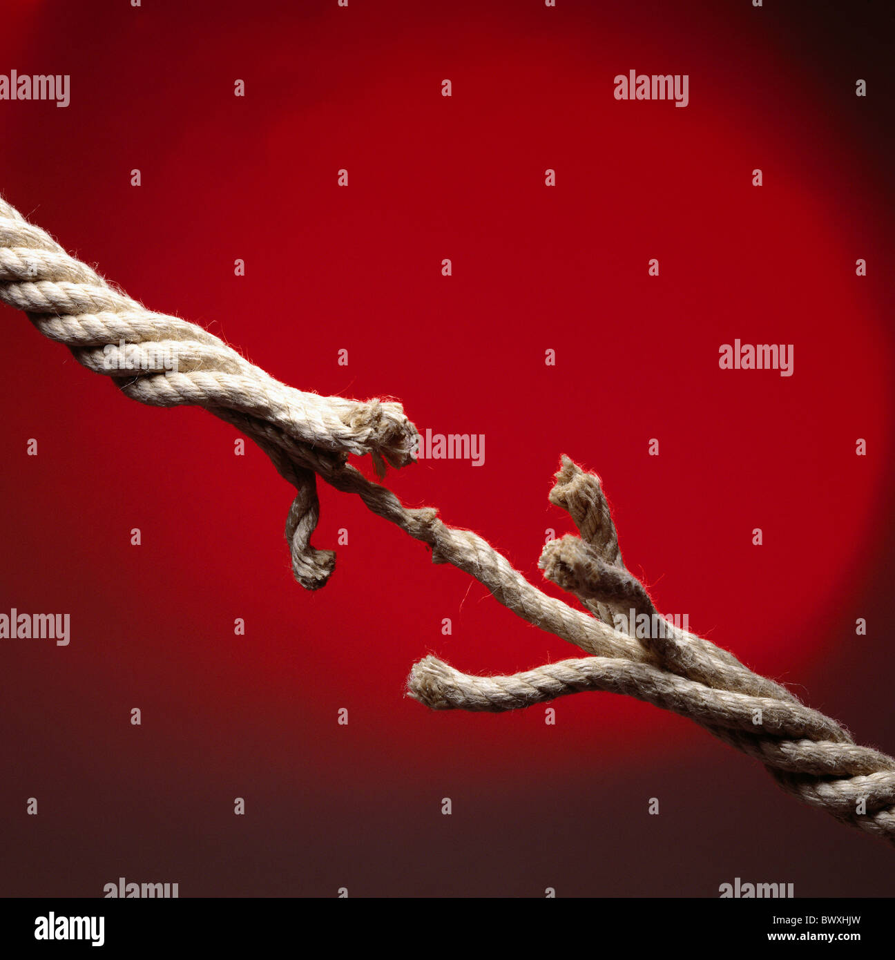 Tearing Rope Tearing rope -Fotos und -Bildmaterial in hoher Auflösung – Alamy
