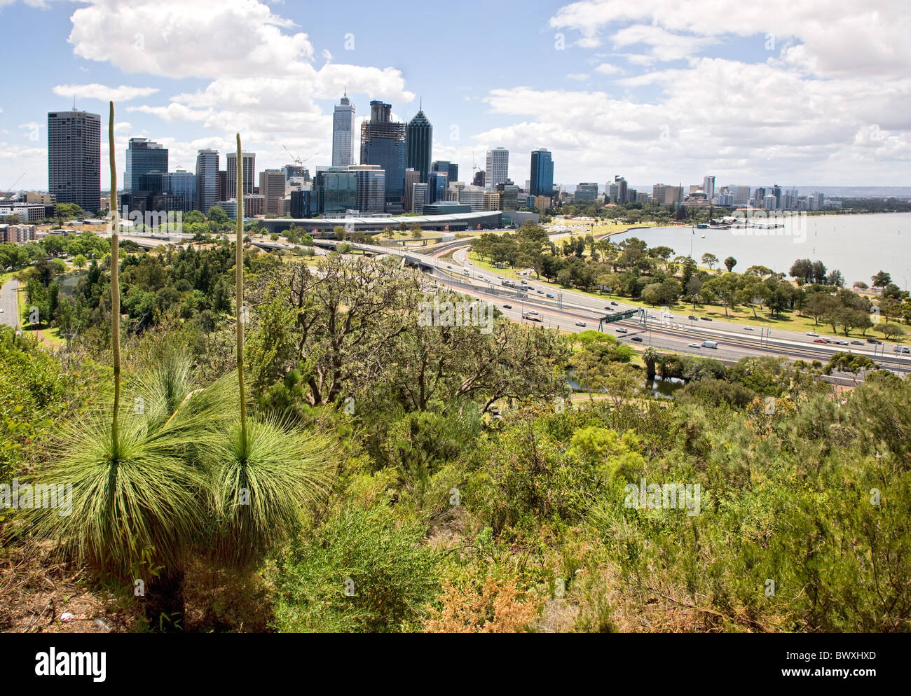 Perth Stadtbild durch Grasbäume in Kings Park Western Australia gesehen Stockfoto