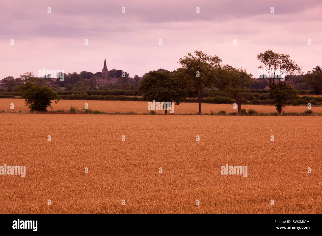 Die Website angenommen, dass jetzt wo der Schlacht von Bosworth 1485 stattfand mit Blick auf Stoke Golding Leicestershire Stockfoto