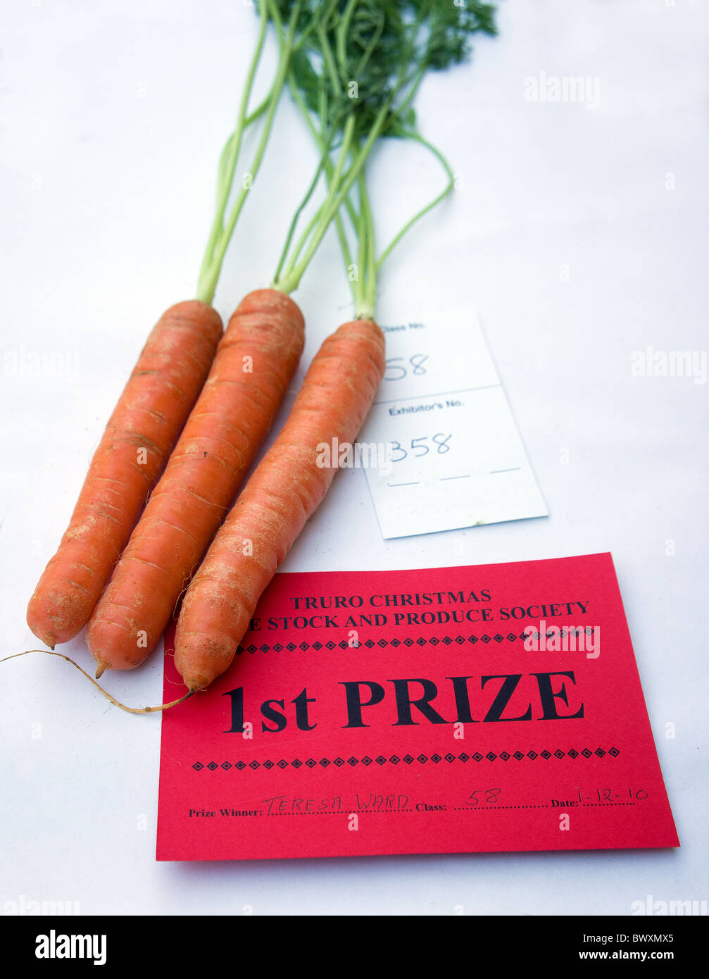 Preis gewinnende Karotten auf Gemüse Stockfoto