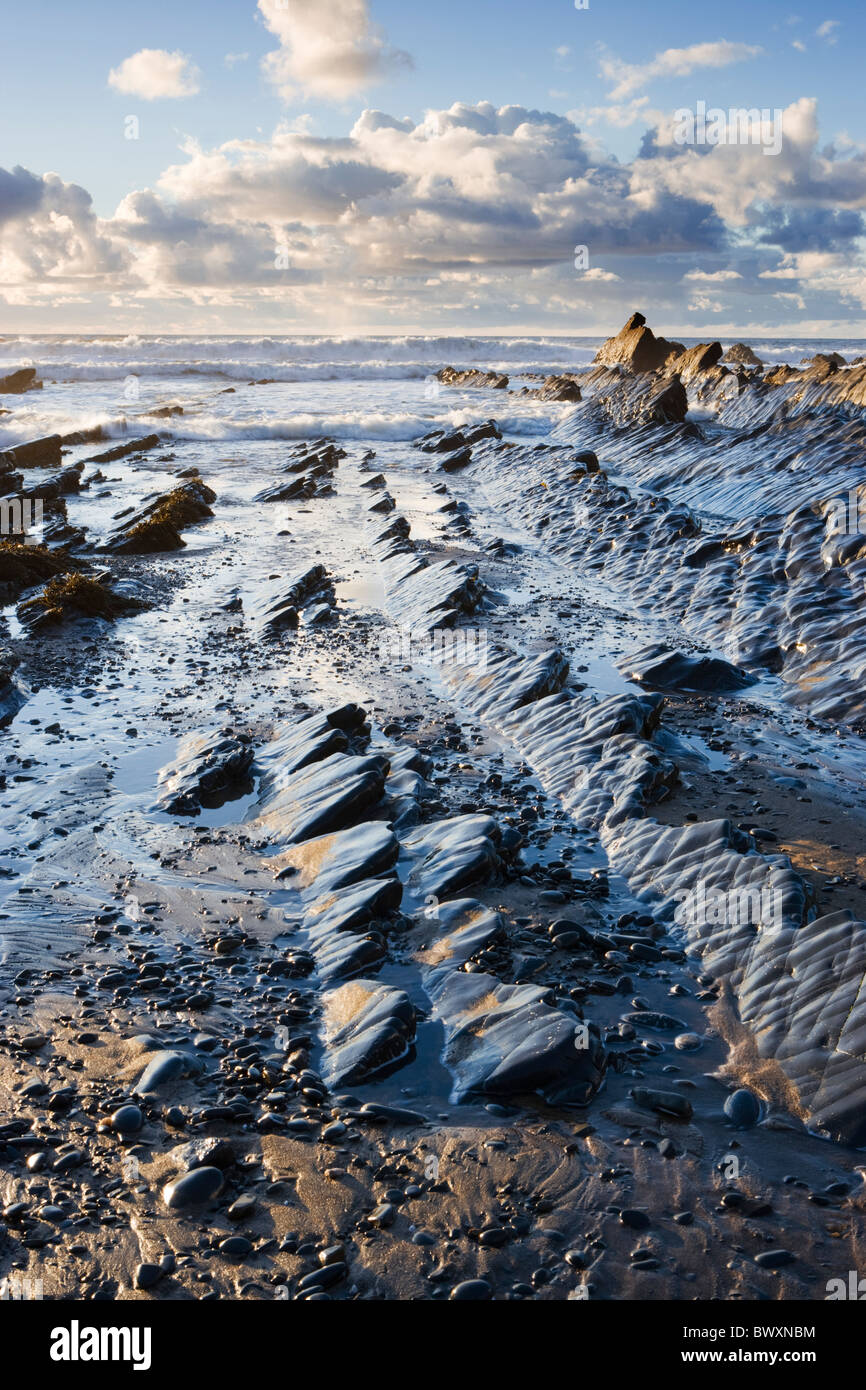 Welcombe Mund, Devon, UK Stockfoto