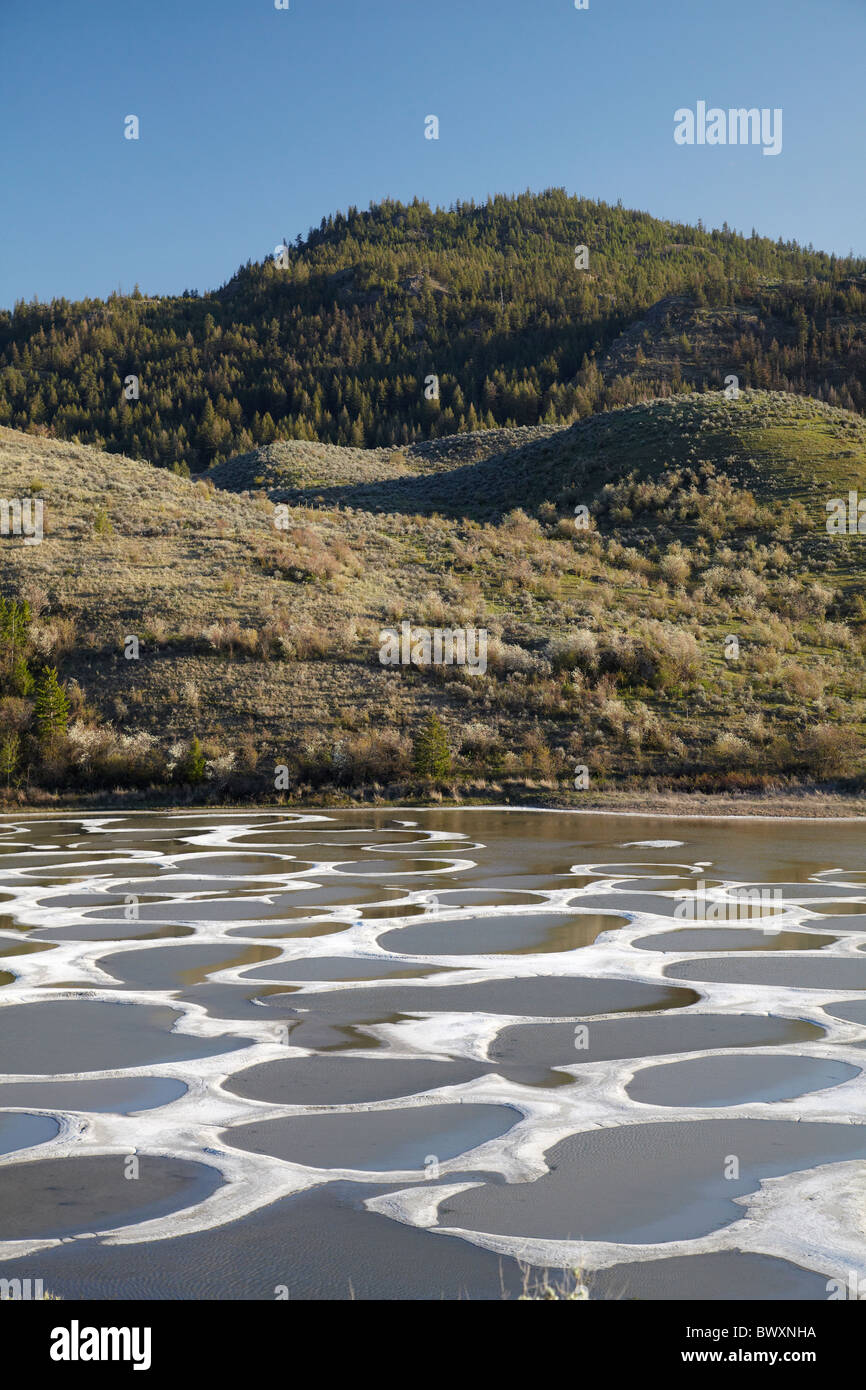 Gefleckte See, Osoyoos, Britisch-Kolumbien, Kanada Stockfoto