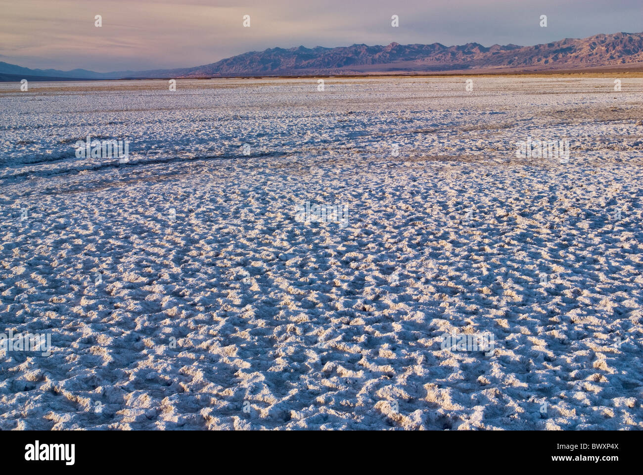 Salz-Feld, Beerdigung Berge in Ferne bei Sonnenuntergang, Death Valley, Kalifornien, USA Stockfoto