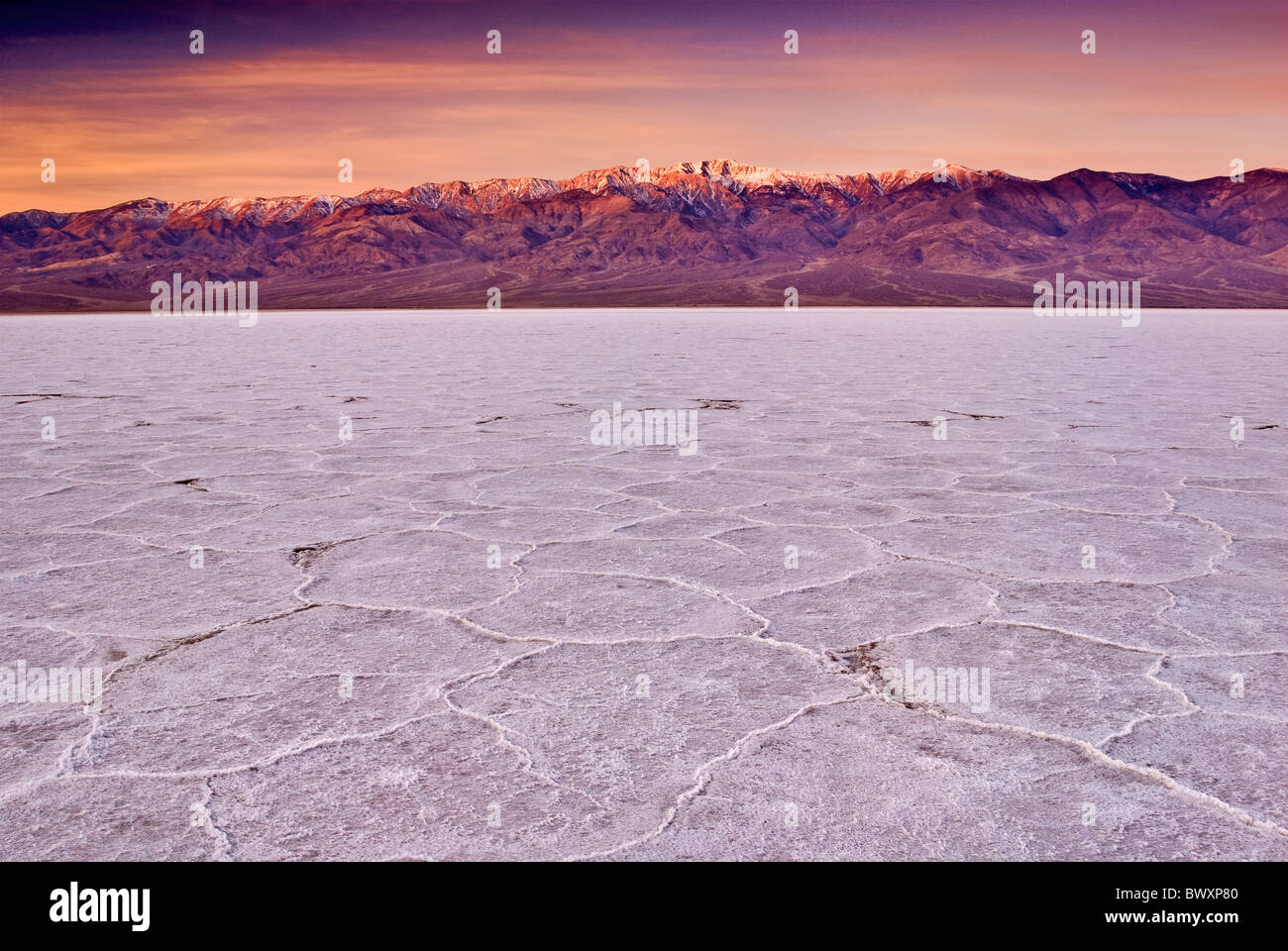 Salzverdampfungsmuster, Risse, bei Salt Flats, Panamint-Bereich in der Ferne, bei Sonnenaufgang, Winter, Death Valley, Kalifornien, USA Stockfoto