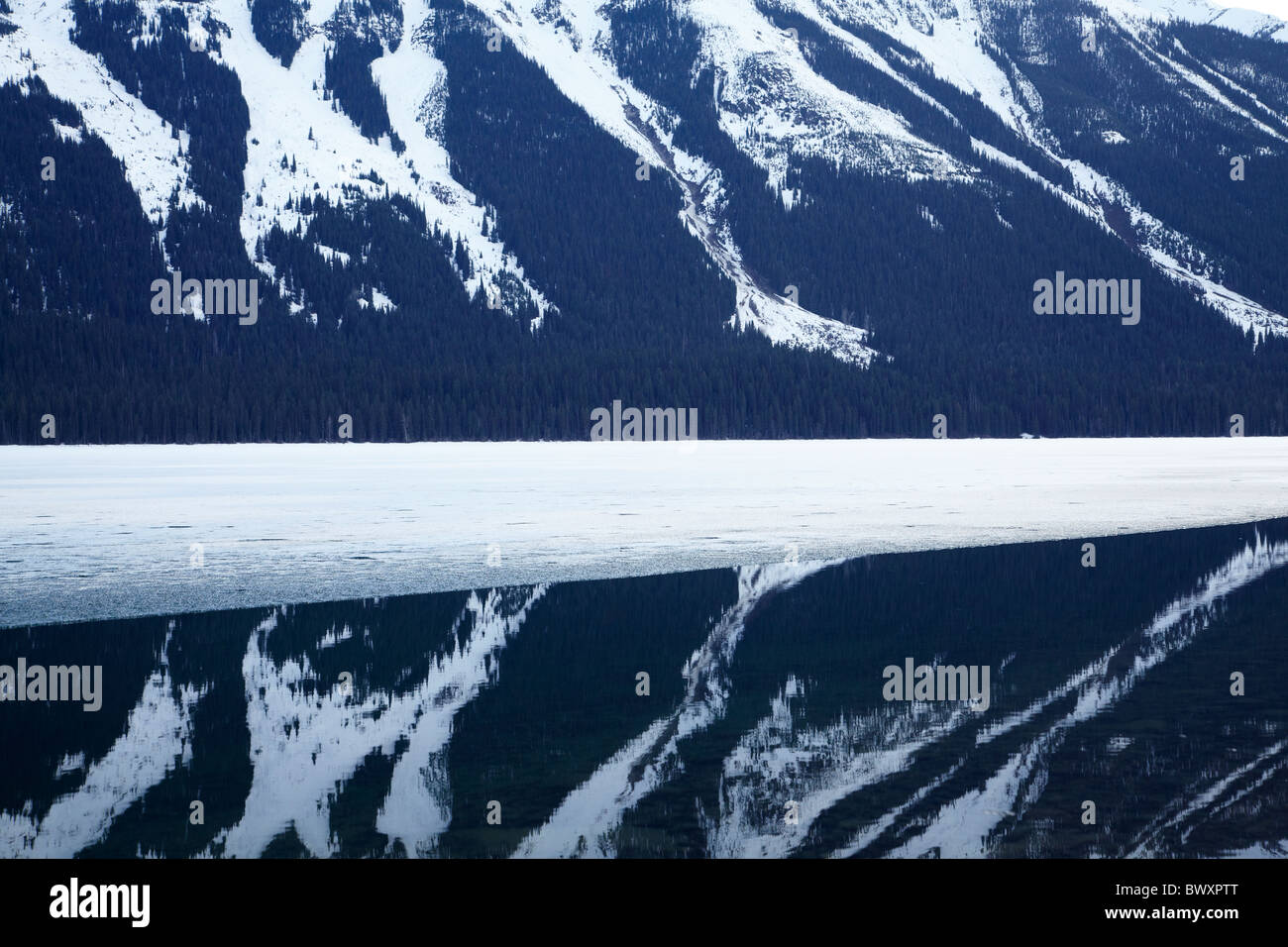 Selwyn Spektrum spiegelt sich in teilweise gefrorenen Moose Lake, Mount Robson Provincial Park in British Columbia, Kanada Stockfoto