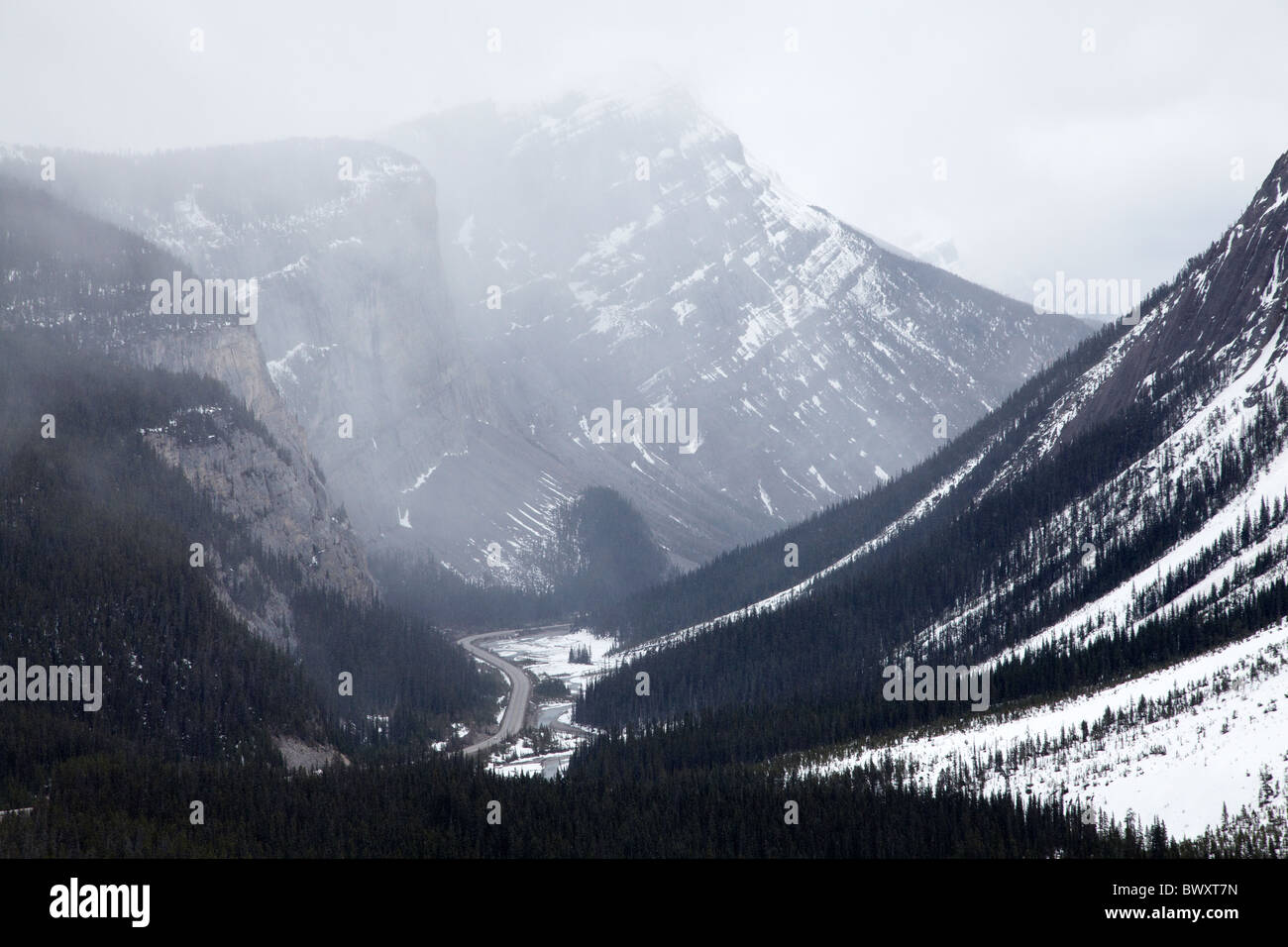 Schnee fällt auf Icefields Parkway und North Saskatchewan River Valley, Banff Nationalpark, Alberta, Kanada Stockfoto