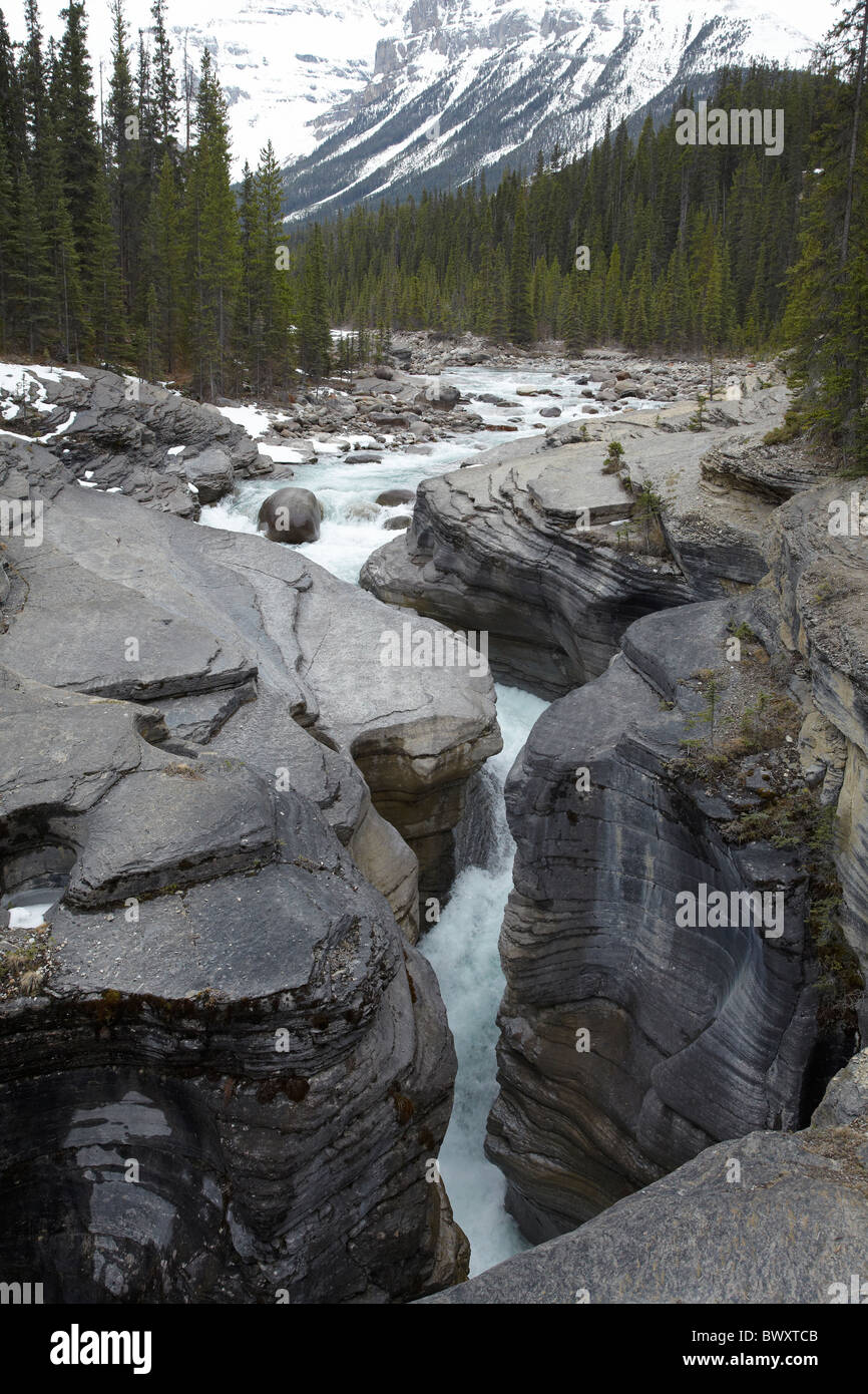 Mistaya River fallen in Mistaya Canyon, Icefields Parkway, Banff Nationalpark, Alberta, Kanada Stockfoto