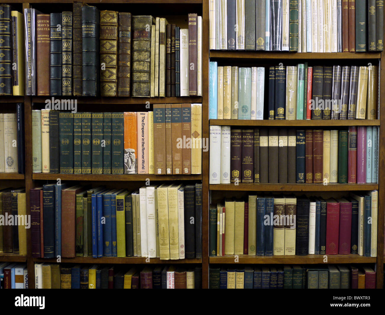 Regal von wissenschaftlichen Büchern in gebrauchten Buchhandlung Stockfoto