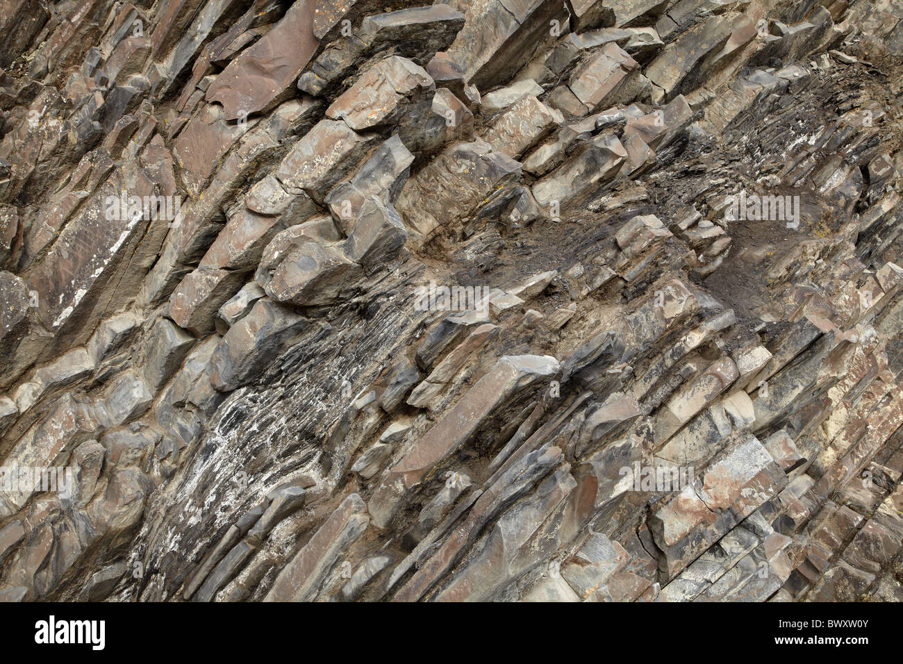 Gesteinsschichten von Bow River, Banff, Banff Nationalpark, Kanadische Rockies, Alberta, Kanada Stockfoto