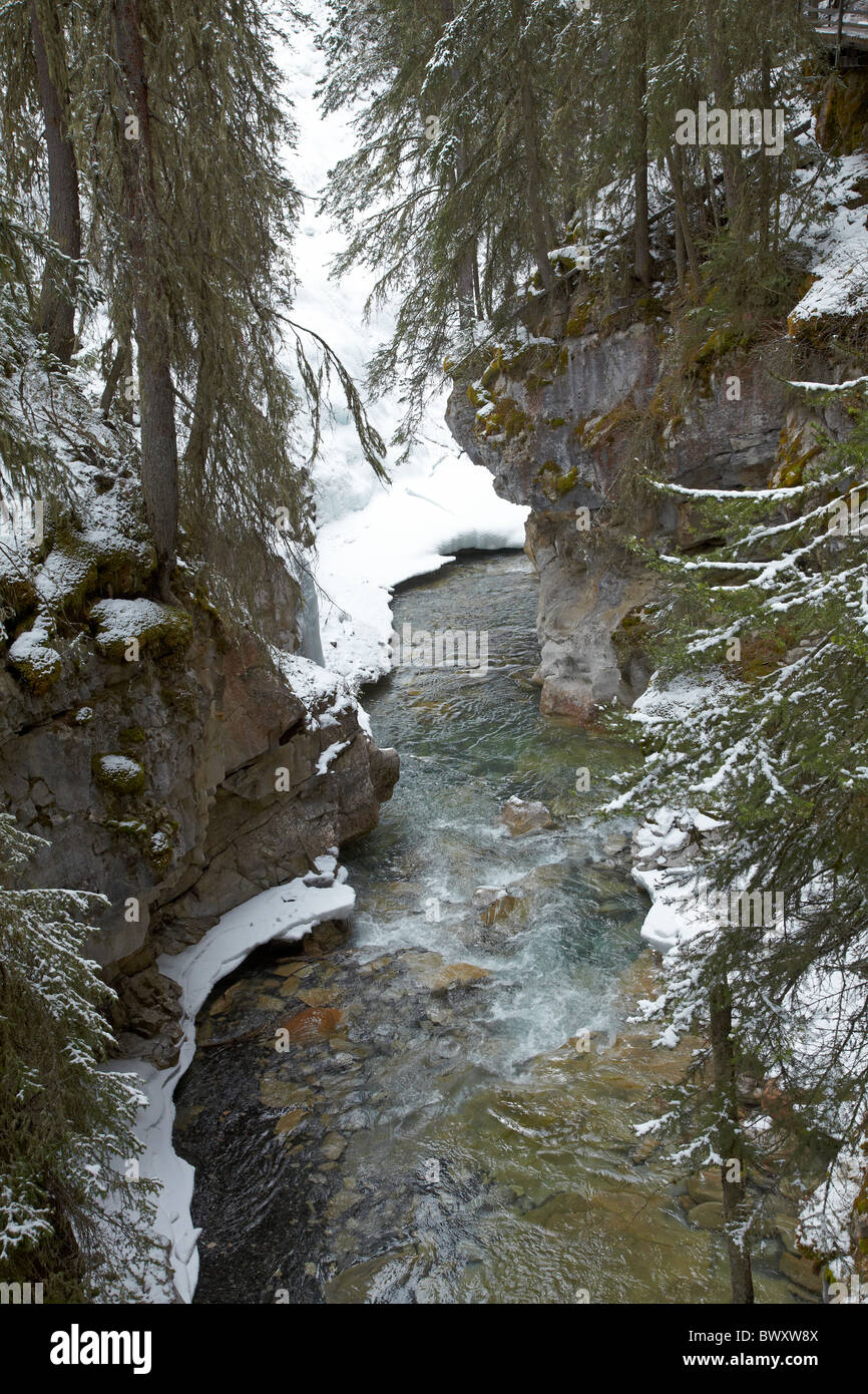 Johnston Creek im Winter Johnston Canyon, Banff Nationalpark, Kanadische Rockies, Alberta, Kanada Stockfoto