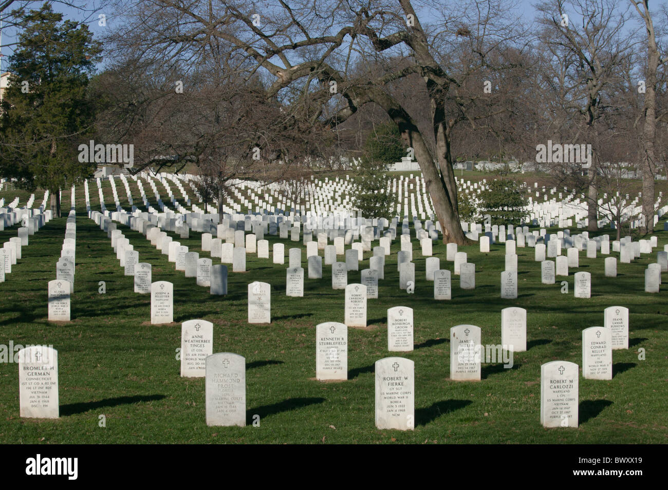 Reihen von weißen Grabsteinen verblassen in der Ferne auf dem Arlington Nationalfriedhof Arlington, Virginia. Stockfoto