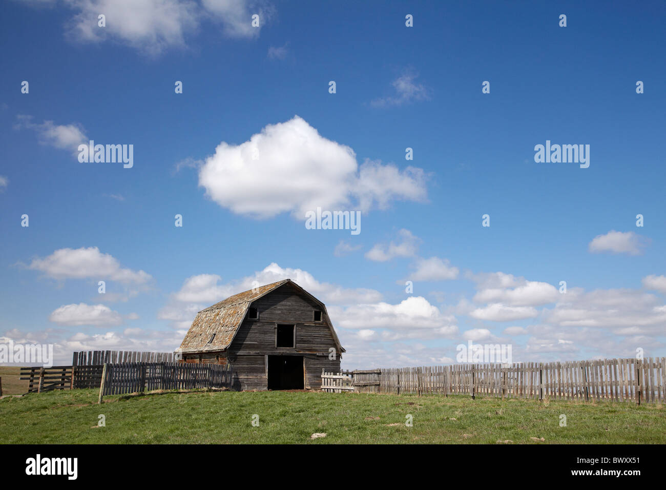 Alte hölzerne Scheune in der Prärie, östlich von Calgary, Alberta, Kanada Stockfoto