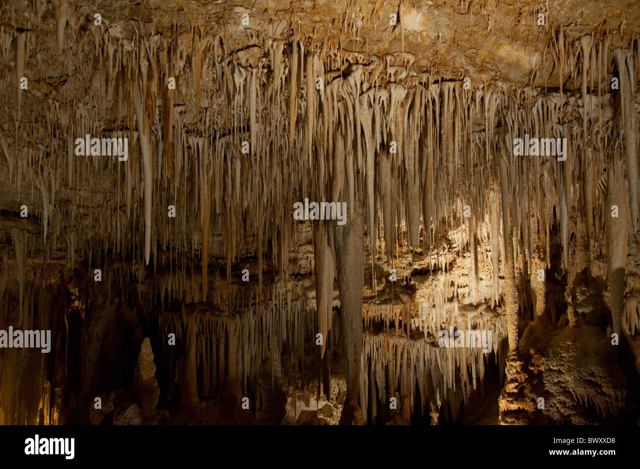 Nahal Soreq Höhle Stockfoto