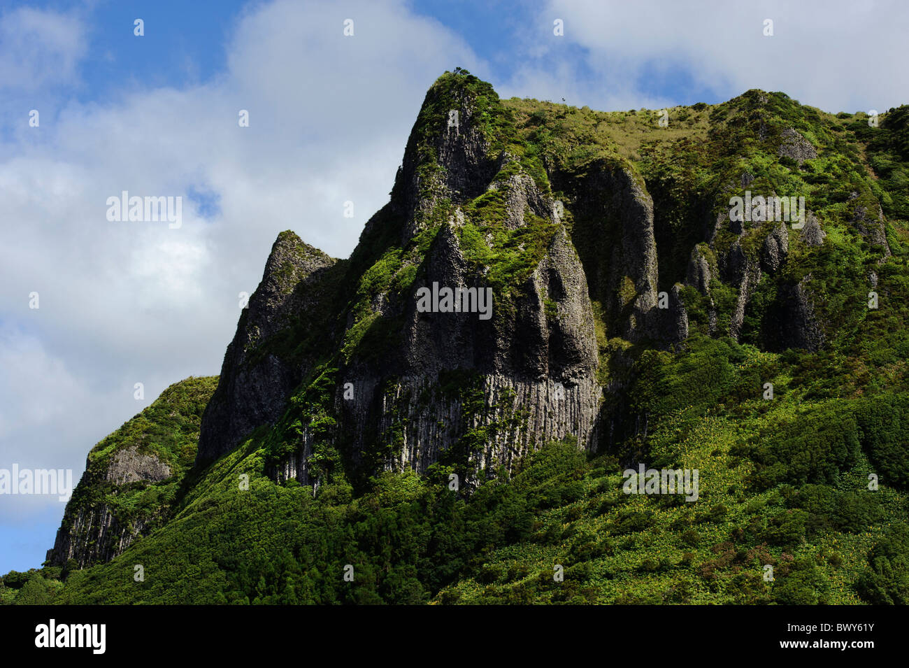 Basalt Felsen Rocha Dos Bordoes, Insel Faial, Azoren Stockfoto