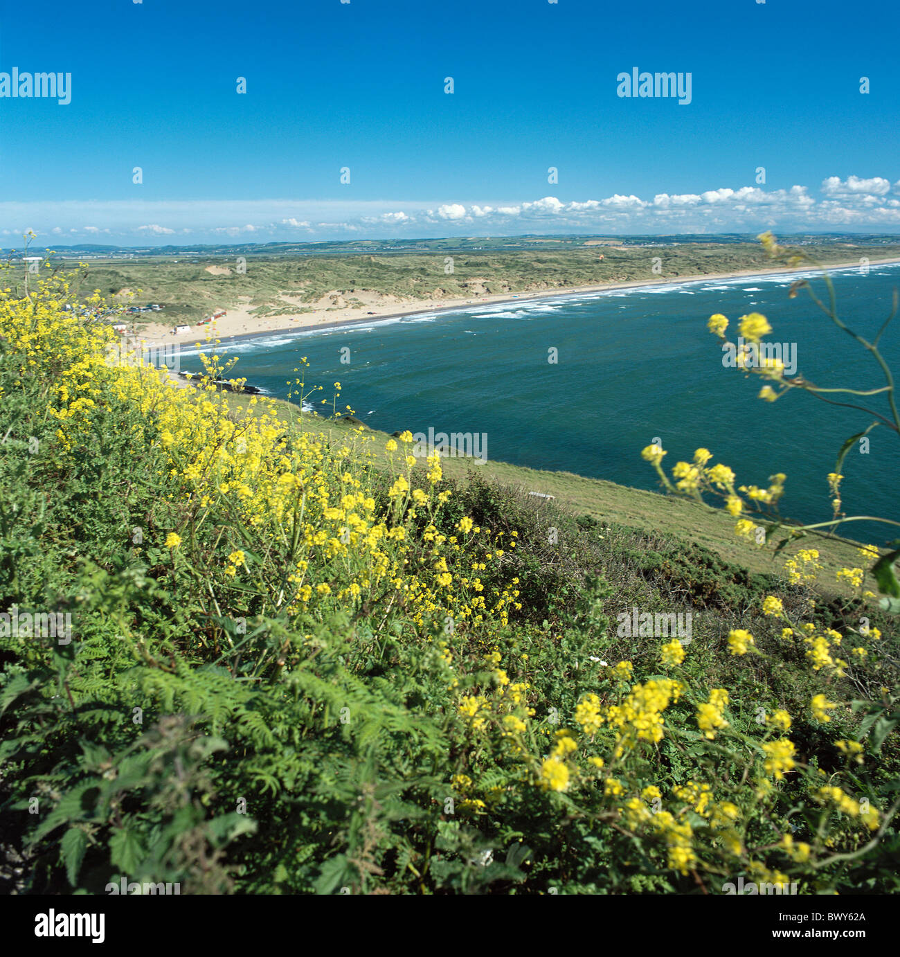 Braunton Burrows Devon Dünen England Großbritannien Europa Nordküste Saunton Sand UK Stockfoto