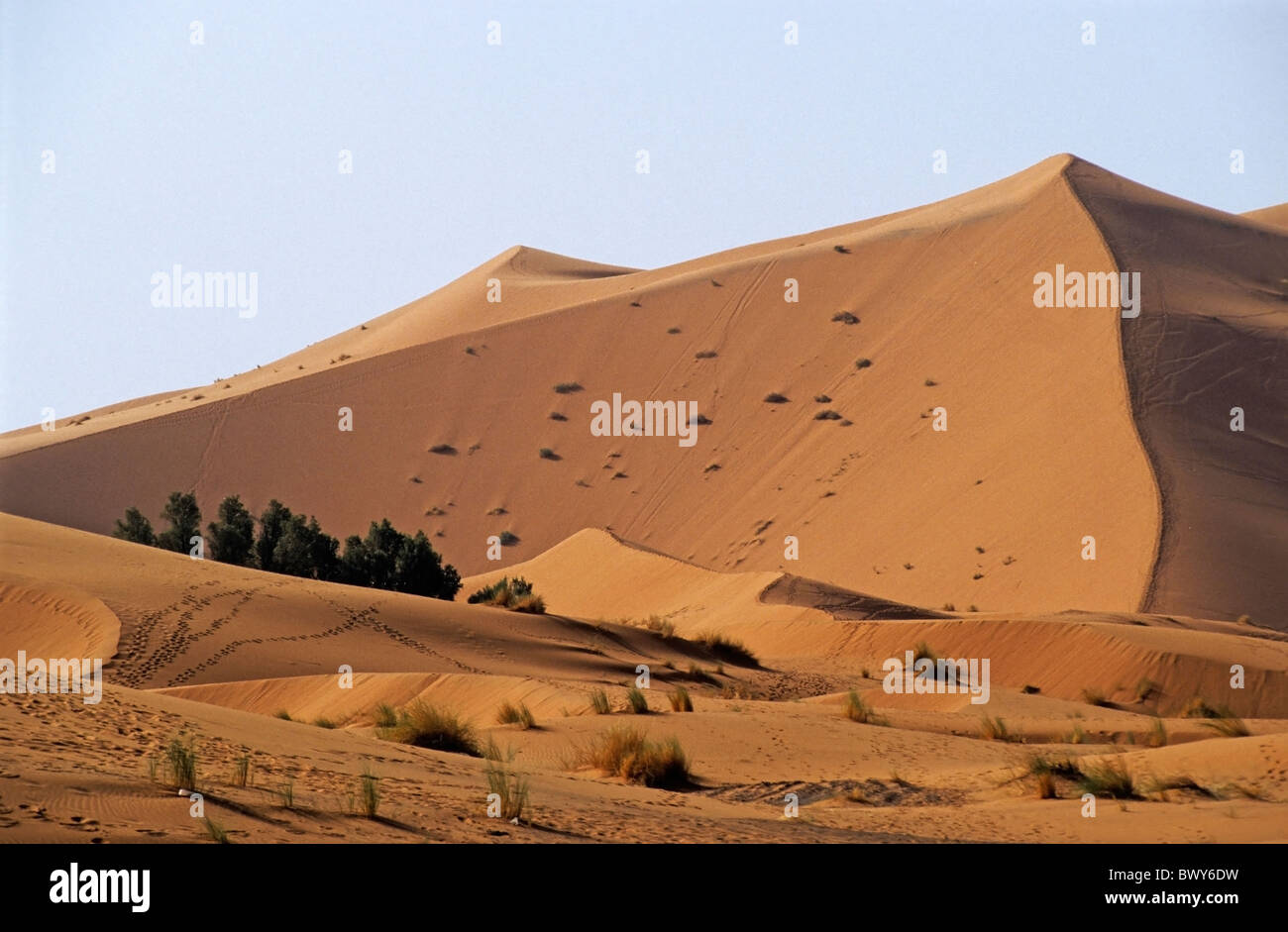 Die große Merzouga Düne in der Sahara Wüste, Erg Chebbi, Marokko. Stockfoto