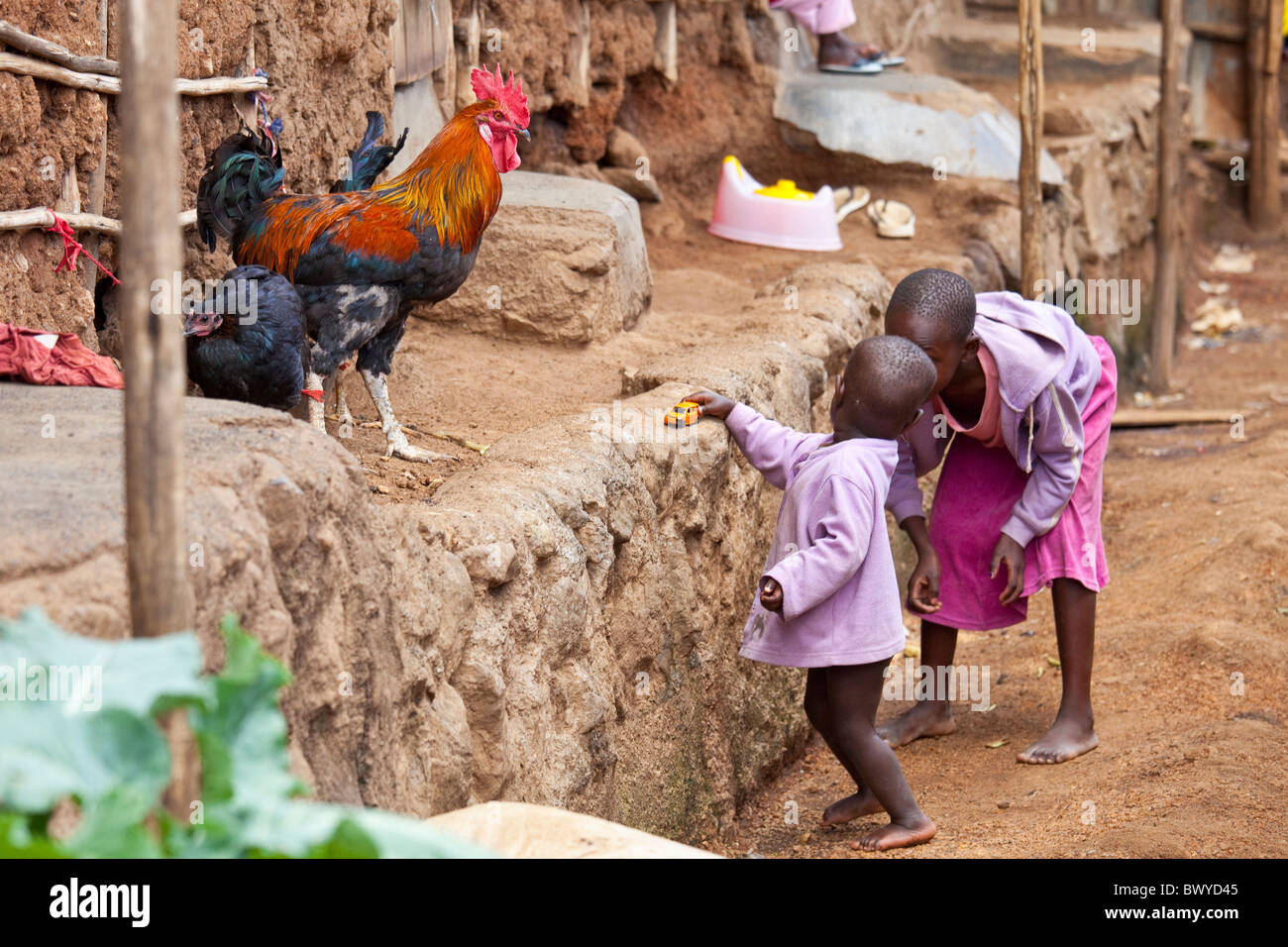 Hahn und Mädchen spielen in Kibera Slums in Nairobi, Kenia Stockfoto