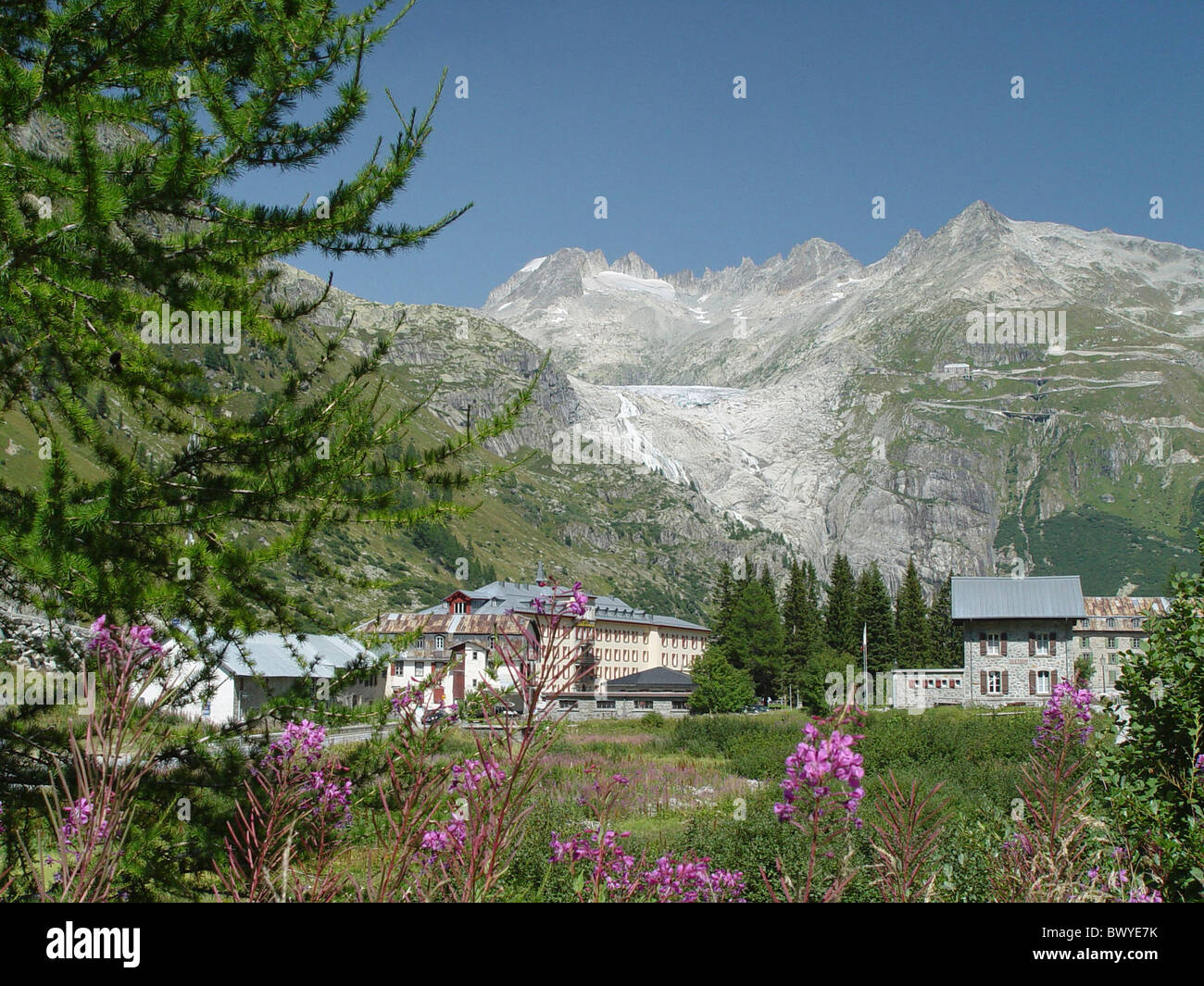Alpen Berge Alpenblumen blühen Wiese Furka Galenstock Gletsch Gletscher Goms Hotel Landschaft Lärche O Stockfoto