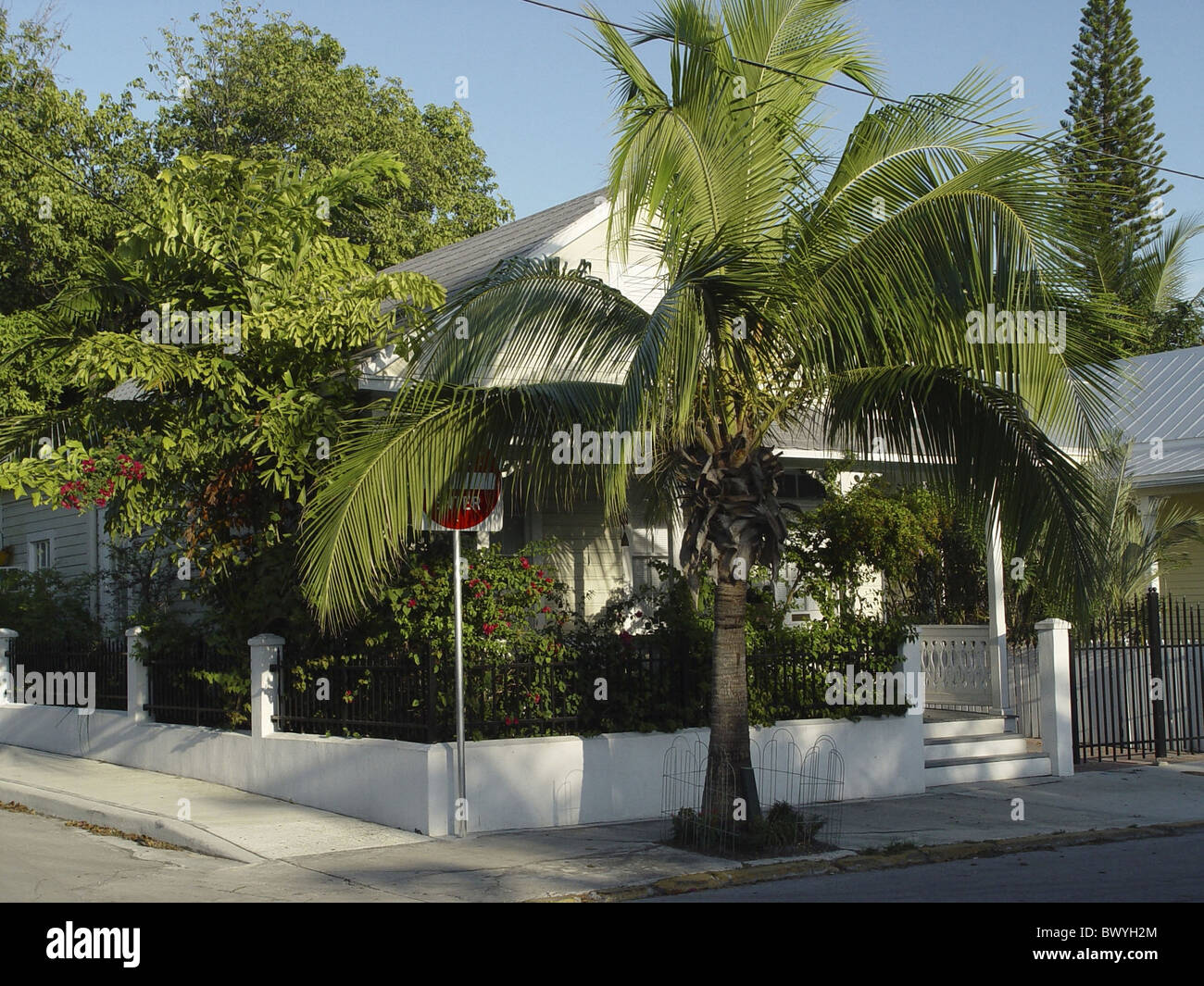 Florida Keys Haus Einfamilienhaus palm Tree USA Amerika Vereinigte Staaten Stockfoto