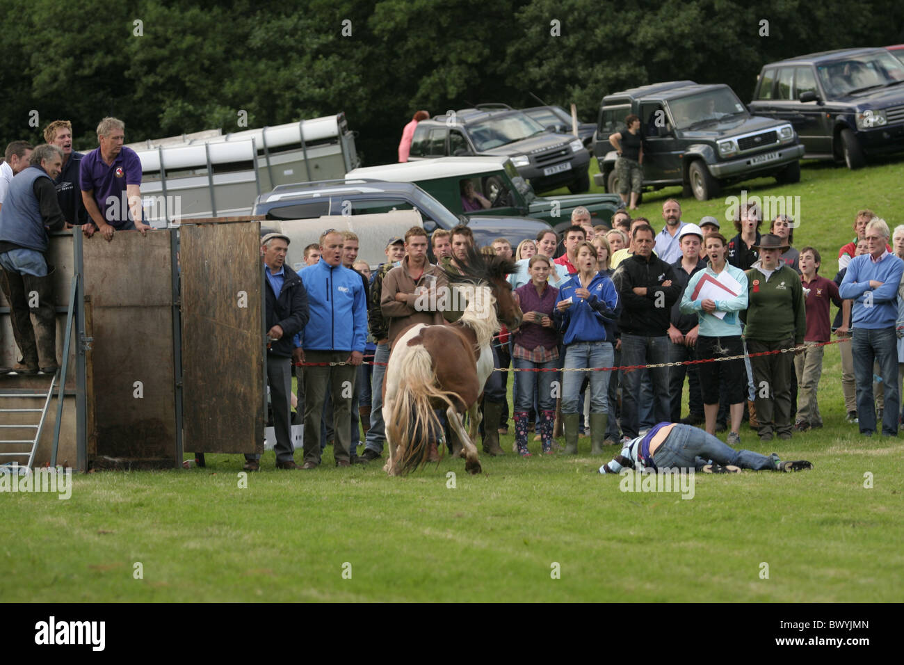 Fahrer, die herunterfallen Rodeo Pony, Llanthony Show, Wales 2010 Stockfoto