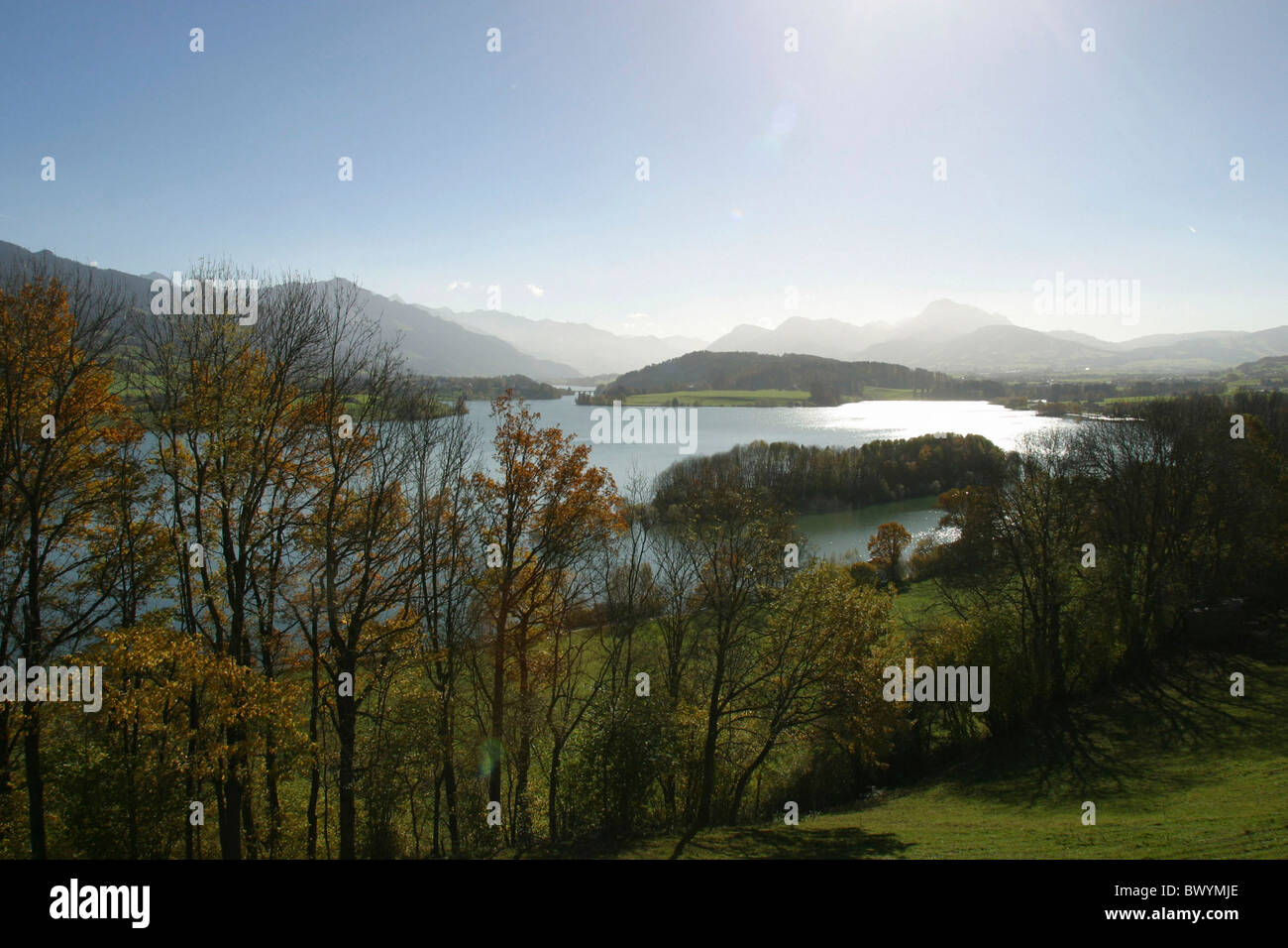 overvie Bäume Berge Kanton Freiburg Lac De La Gruyère Landschaft Schweiz Europa See Meer Herbststimmung Stockfoto