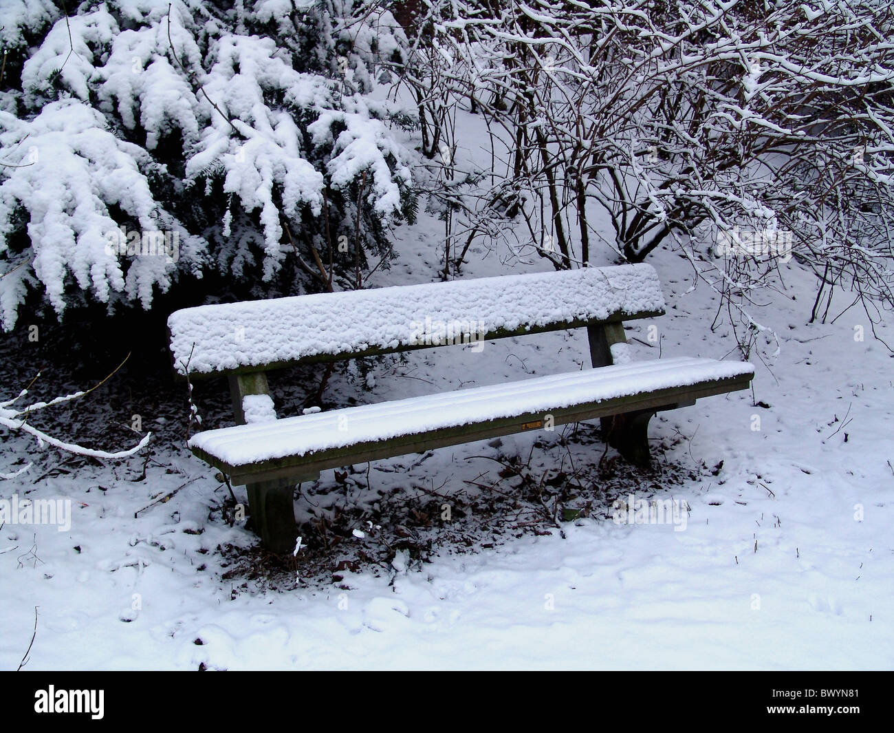 Sitzbank Sitz Schnee bedeckt Winter Stockfoto